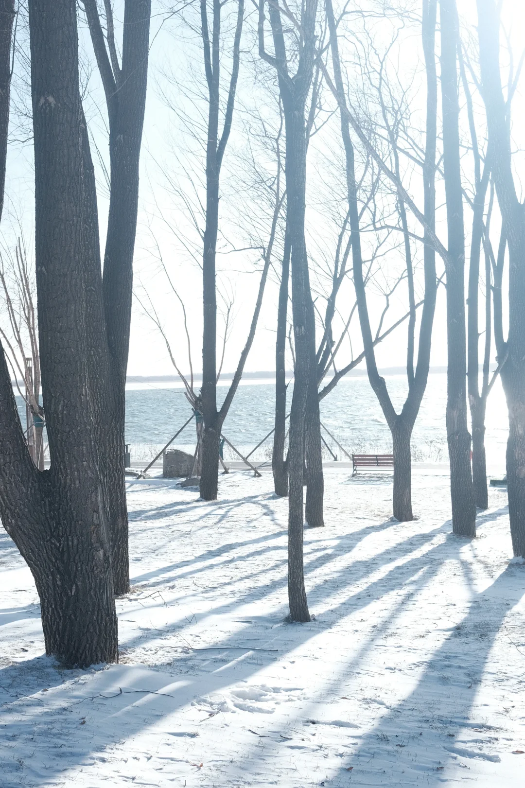 等了一冬天的绝美雪景❄️➕长治滨湖文旅📷