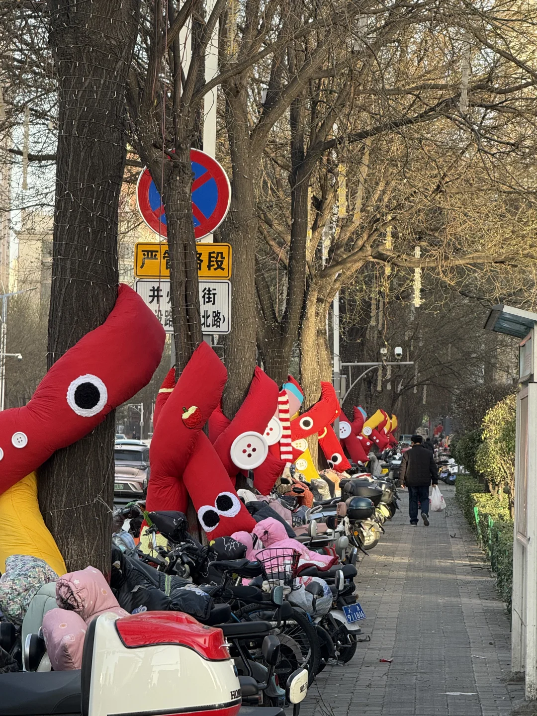 太原的树也是戴上围巾了