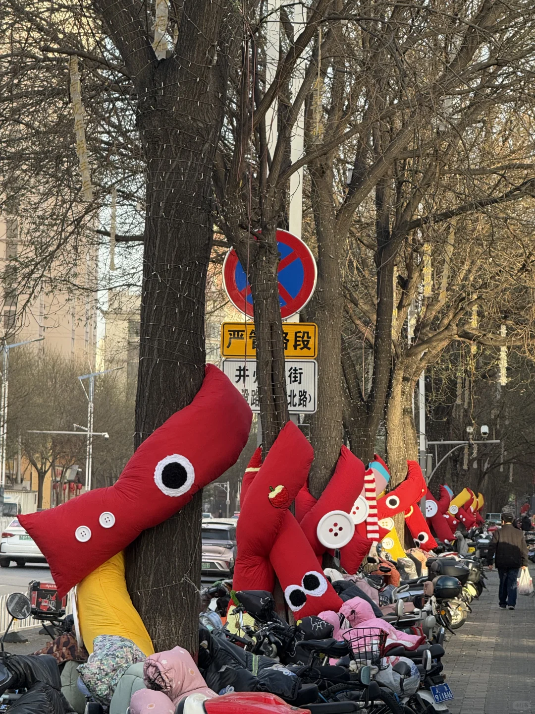 太原的树也是戴上围巾了