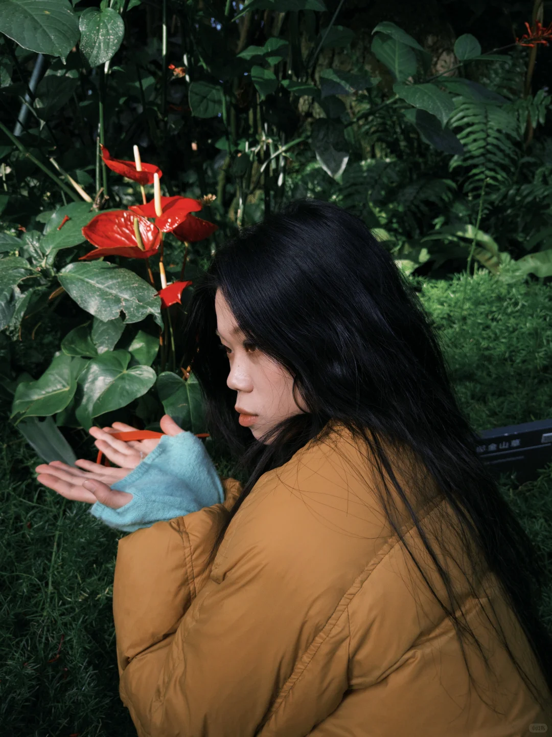 在太原植物园吸氧🌳