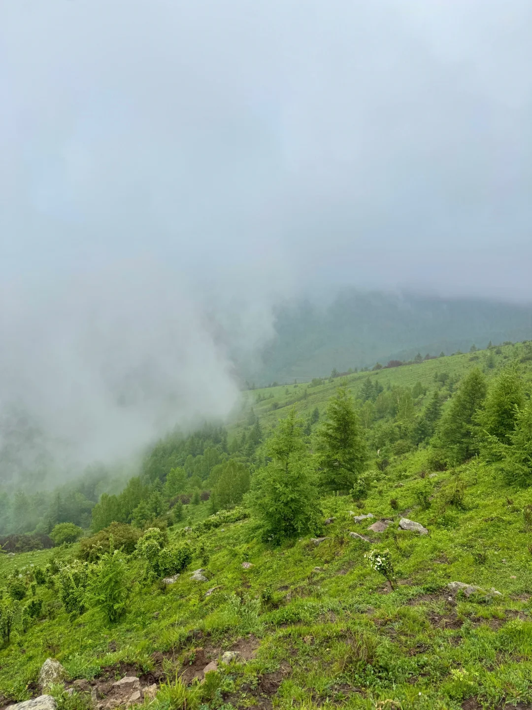 三天两晚五台山逆朝｜上海🚄太原（附攻略