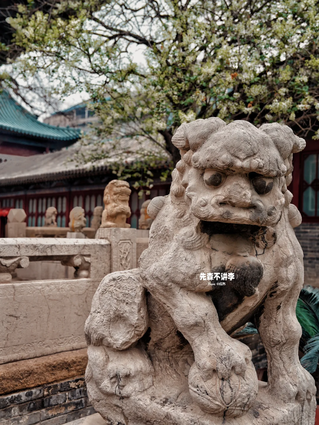 太原市区Citywalk｜请多给太原一天时间‼️