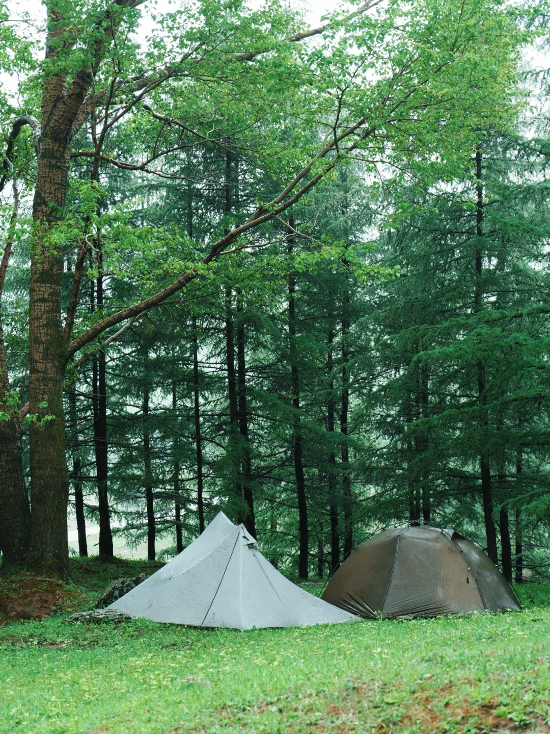 三天两晚五台山逆朝｜上海🚄太原（附攻略