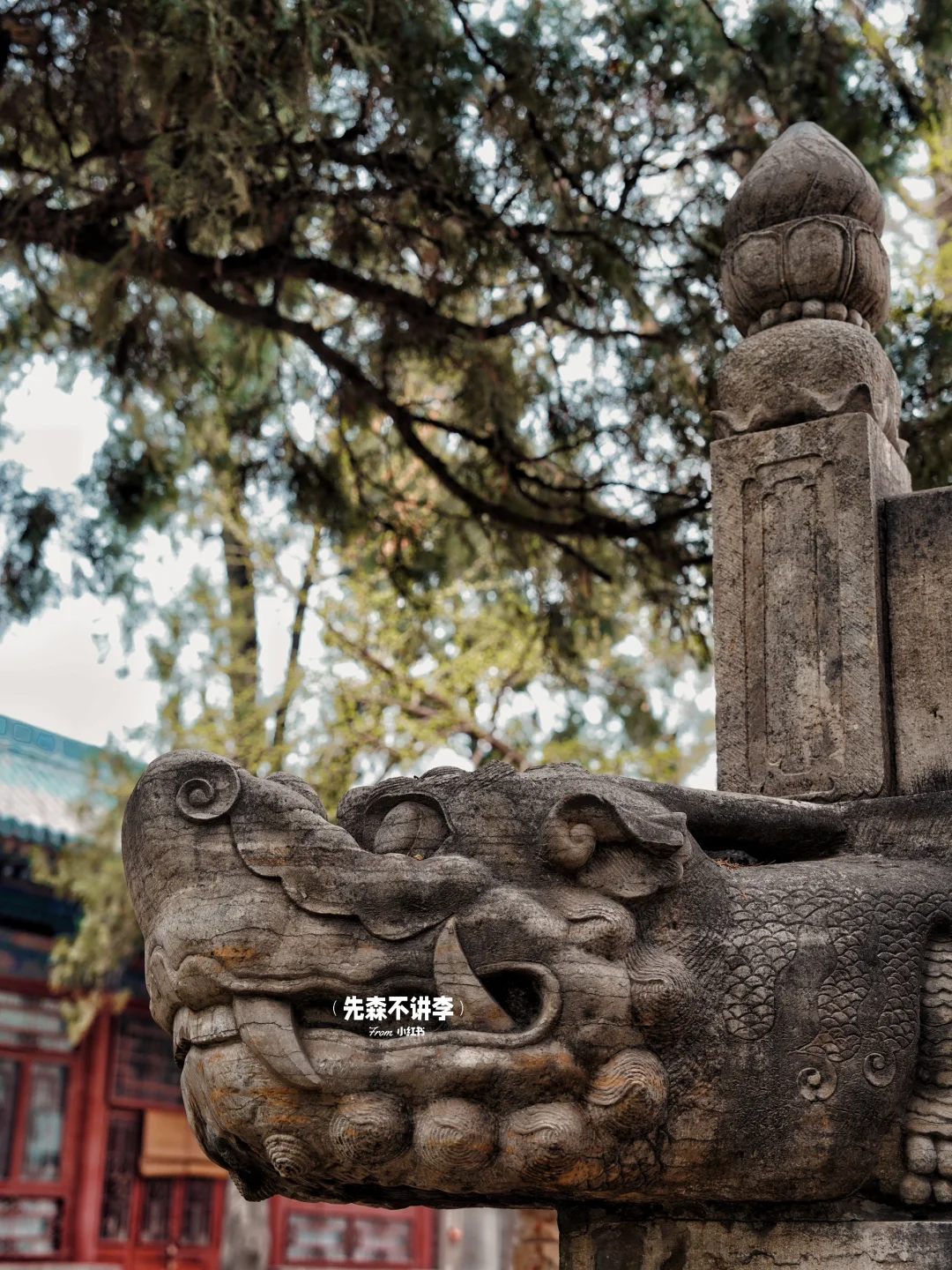 太原市区Citywalk｜请多给太原一天时间‼️
