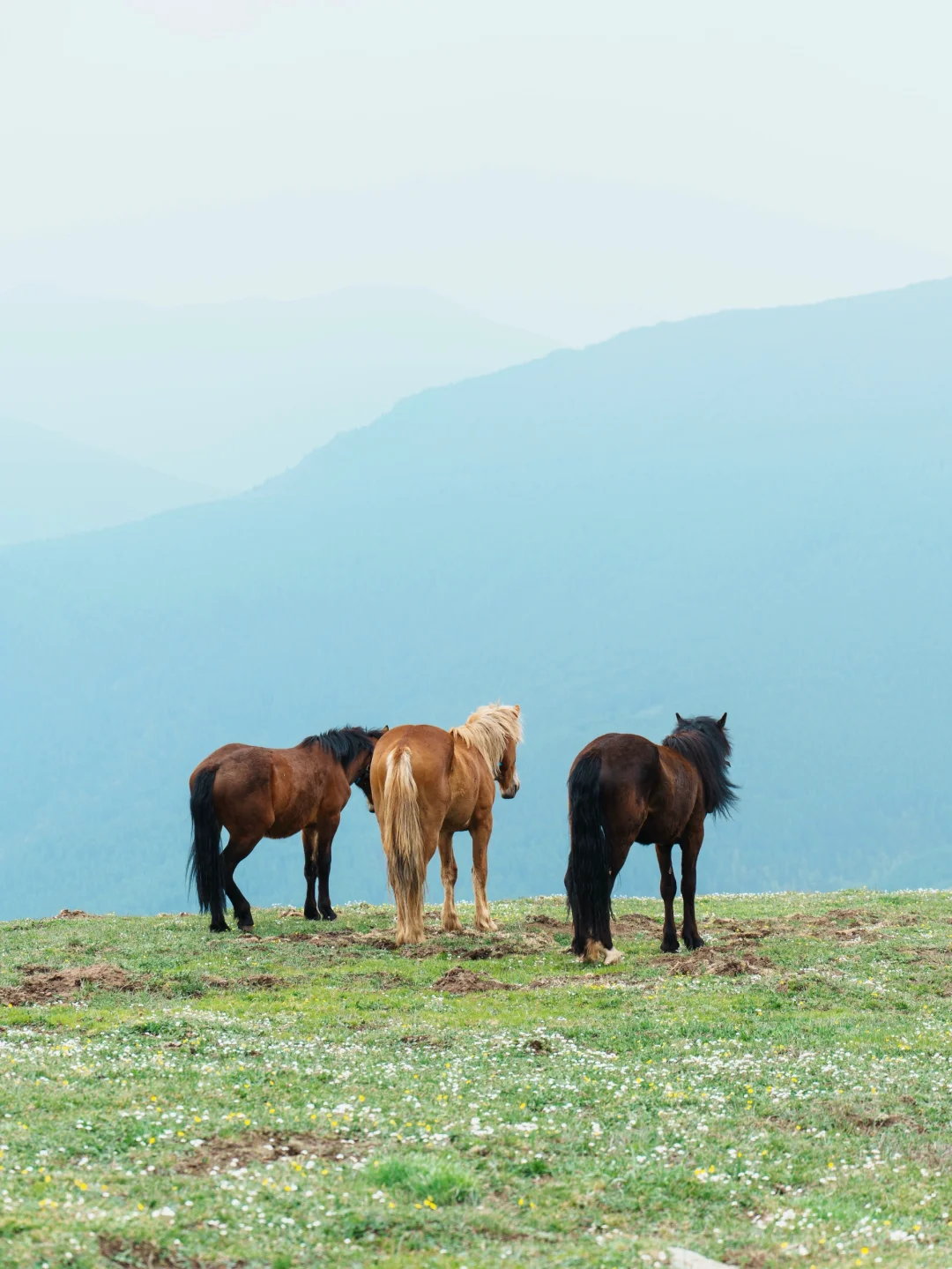 三天两晚五台山逆朝｜上海🚄太原（附攻略