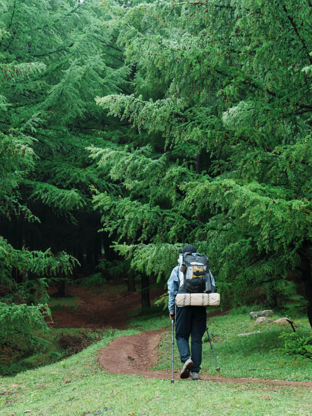 三天两晚五台山逆朝｜上海🚄太原（附攻略