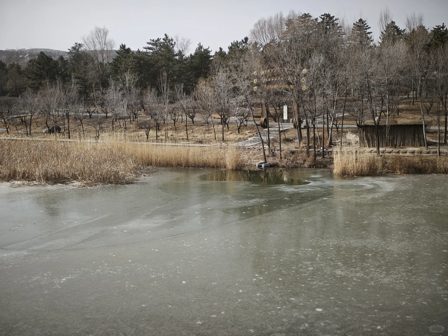 大同景点游记·悬空寺应县木塔云冈石窟