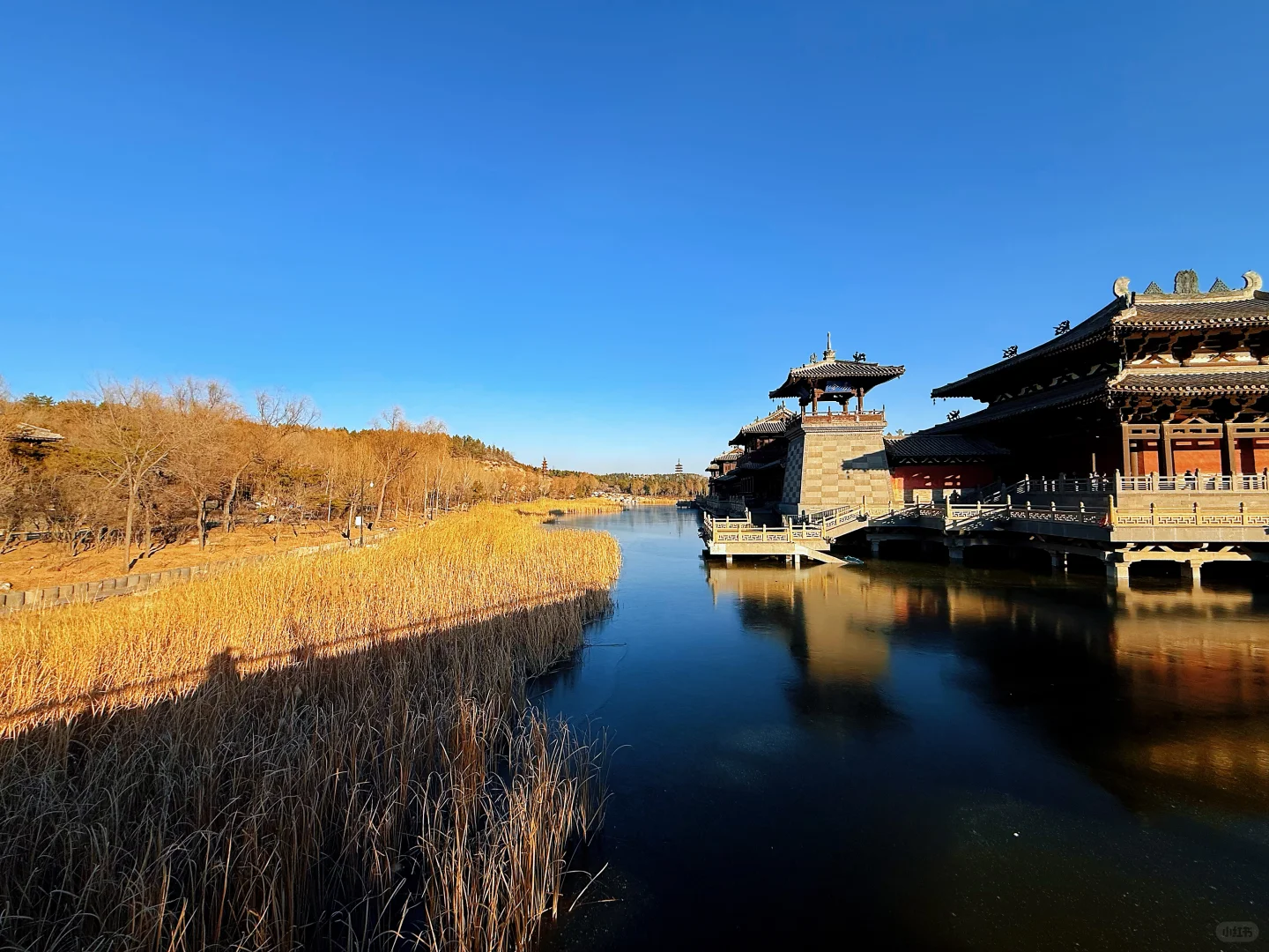 【大同慢行记】三天两晚不赶路✨吃住行全满分