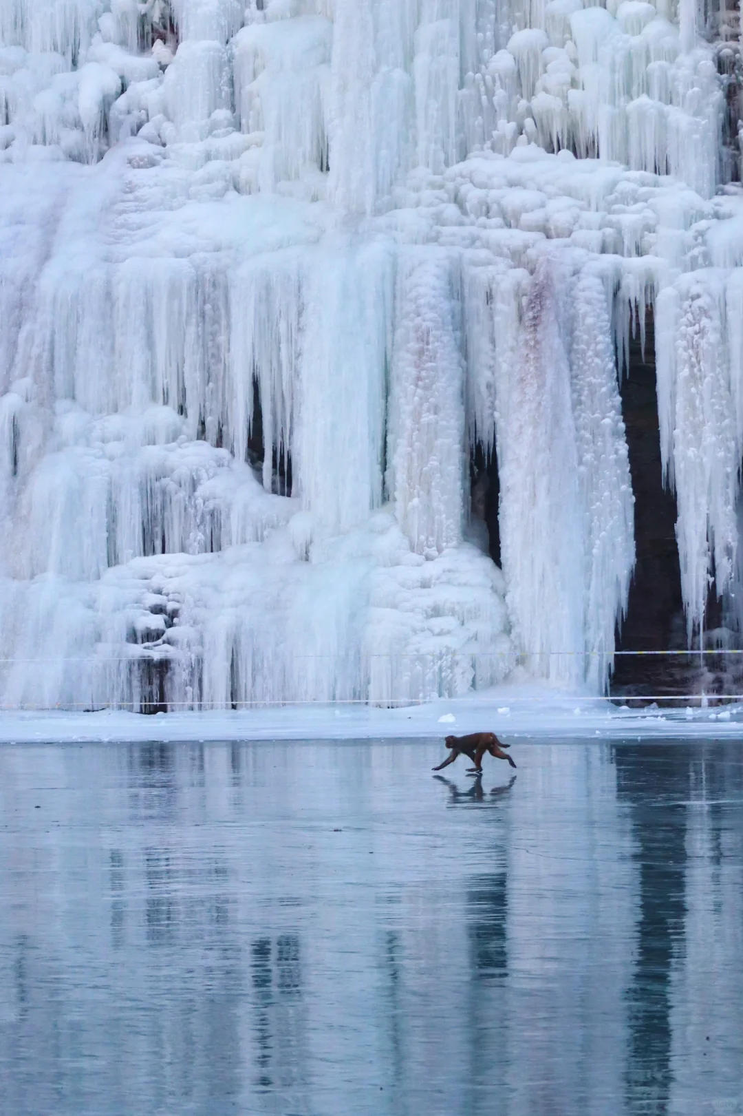 山西也有冰雪王国❄️【长治通天峡】