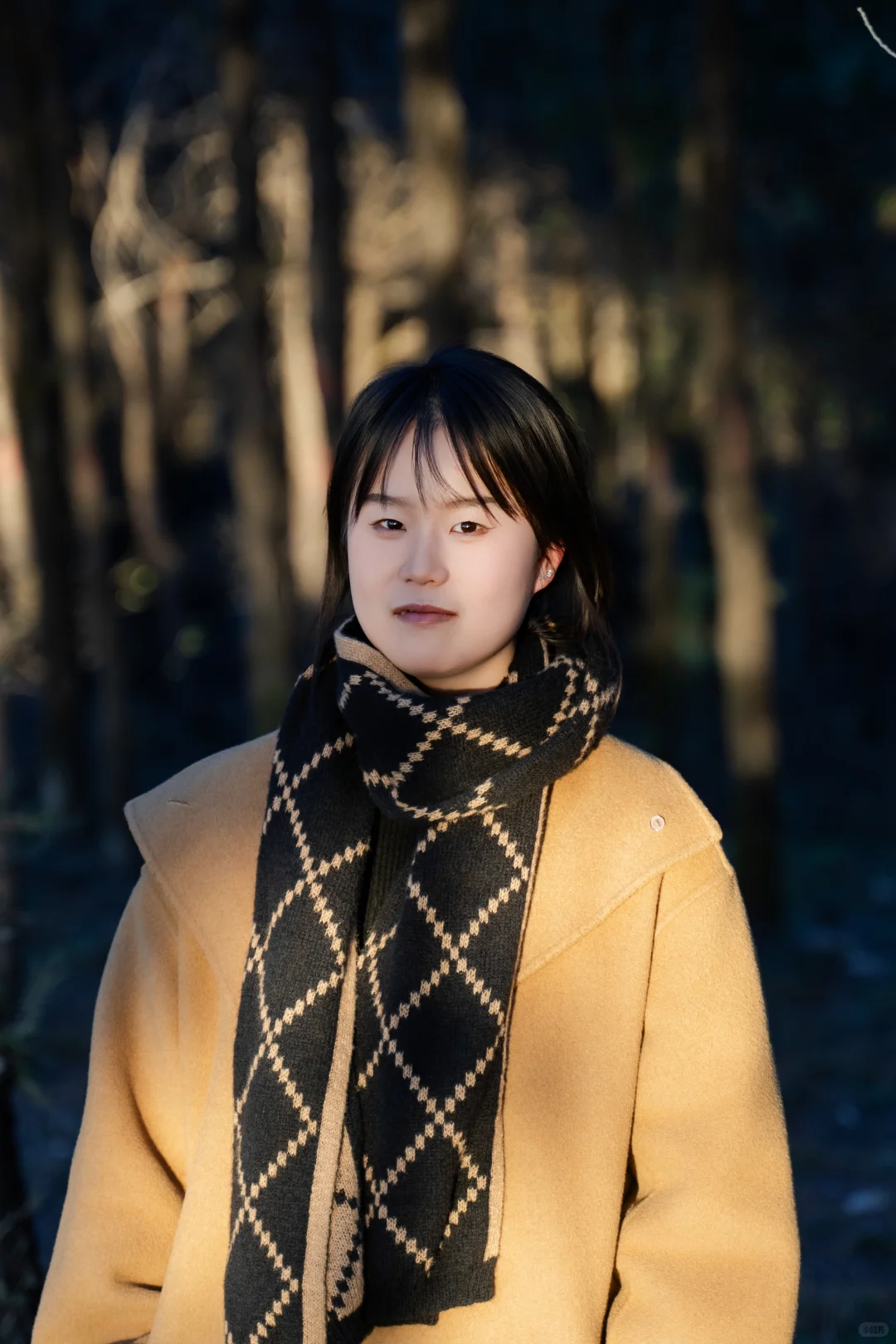 去山里去追日落🌇