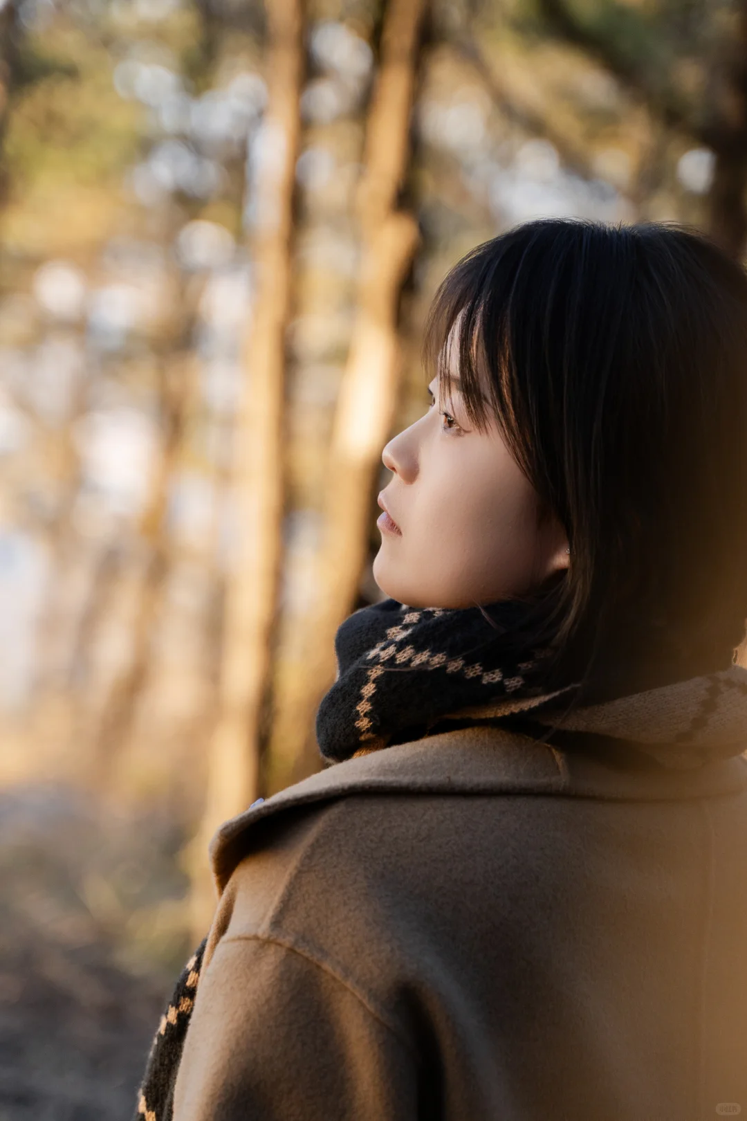 去山里去追日落🌇