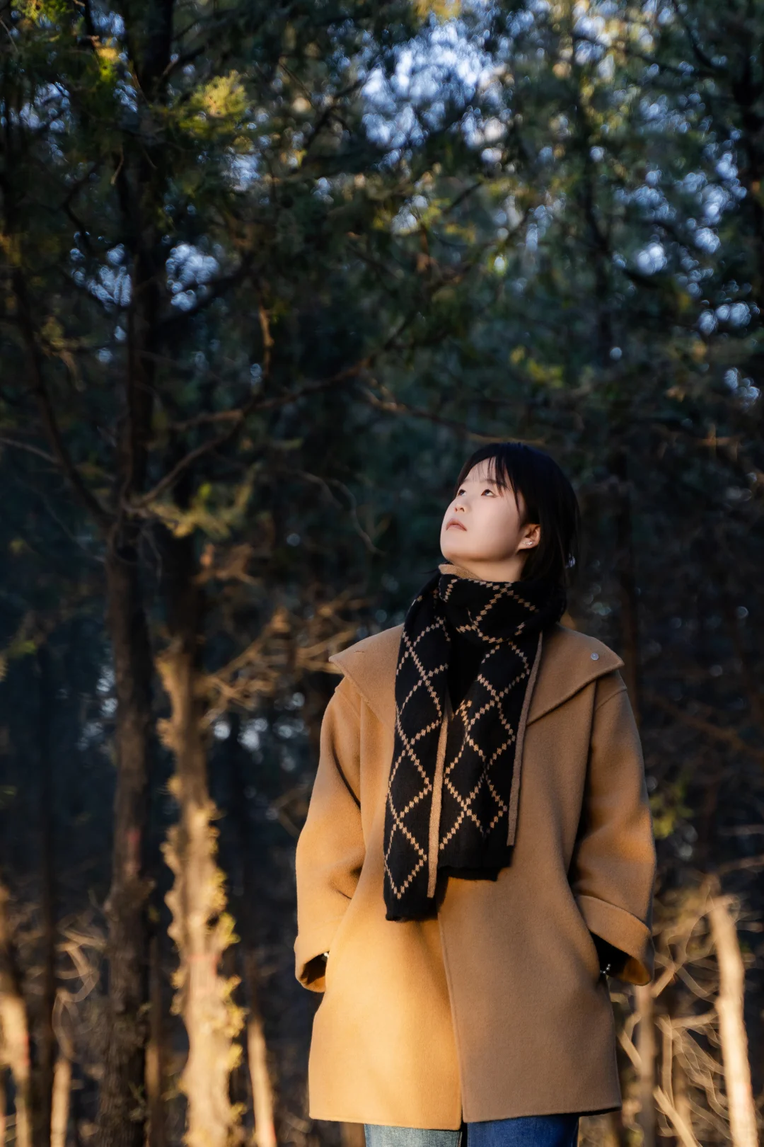 去山里去追日落🌇