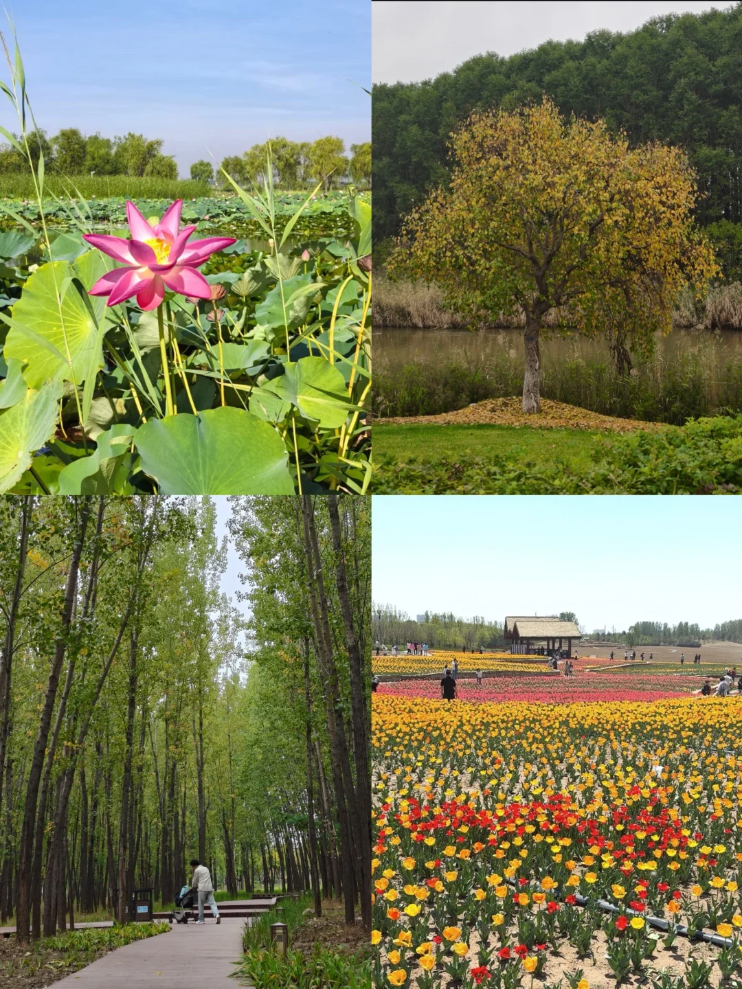 郑州周末出发第13站-长治