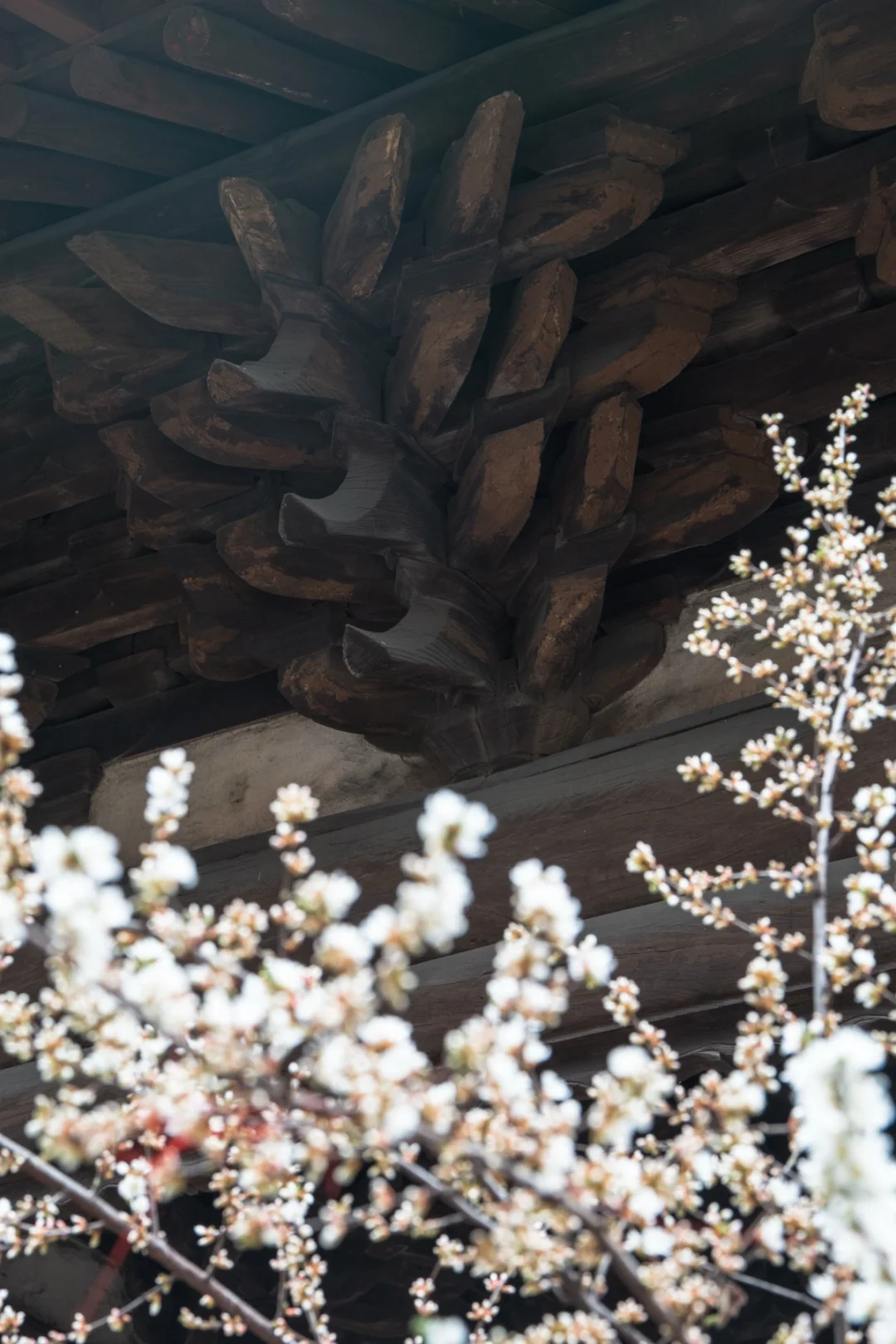 假期拒绝人挤人，小众底蕴古城 - 山西长治