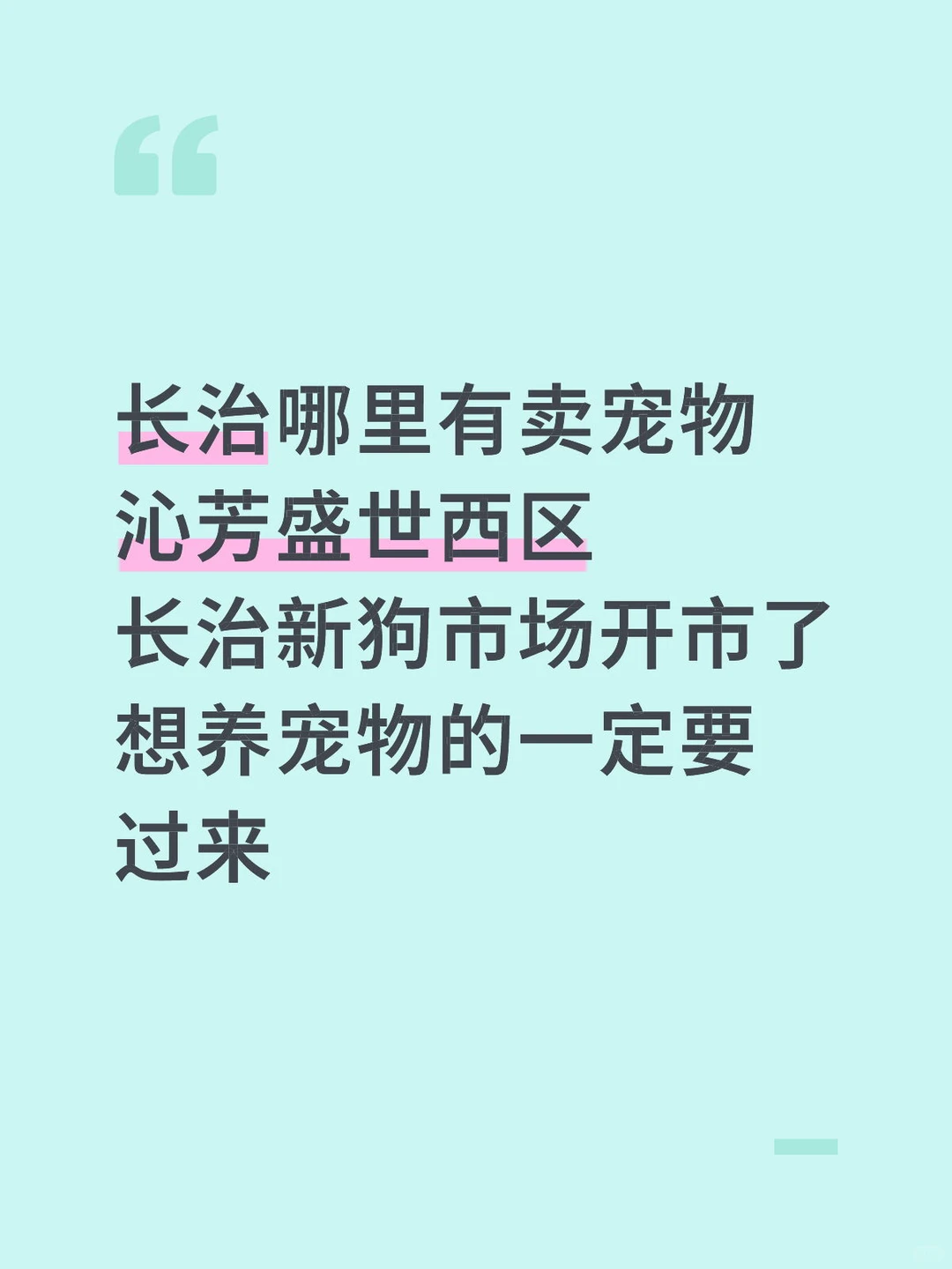 长治养宠攻略猫狗多的地方