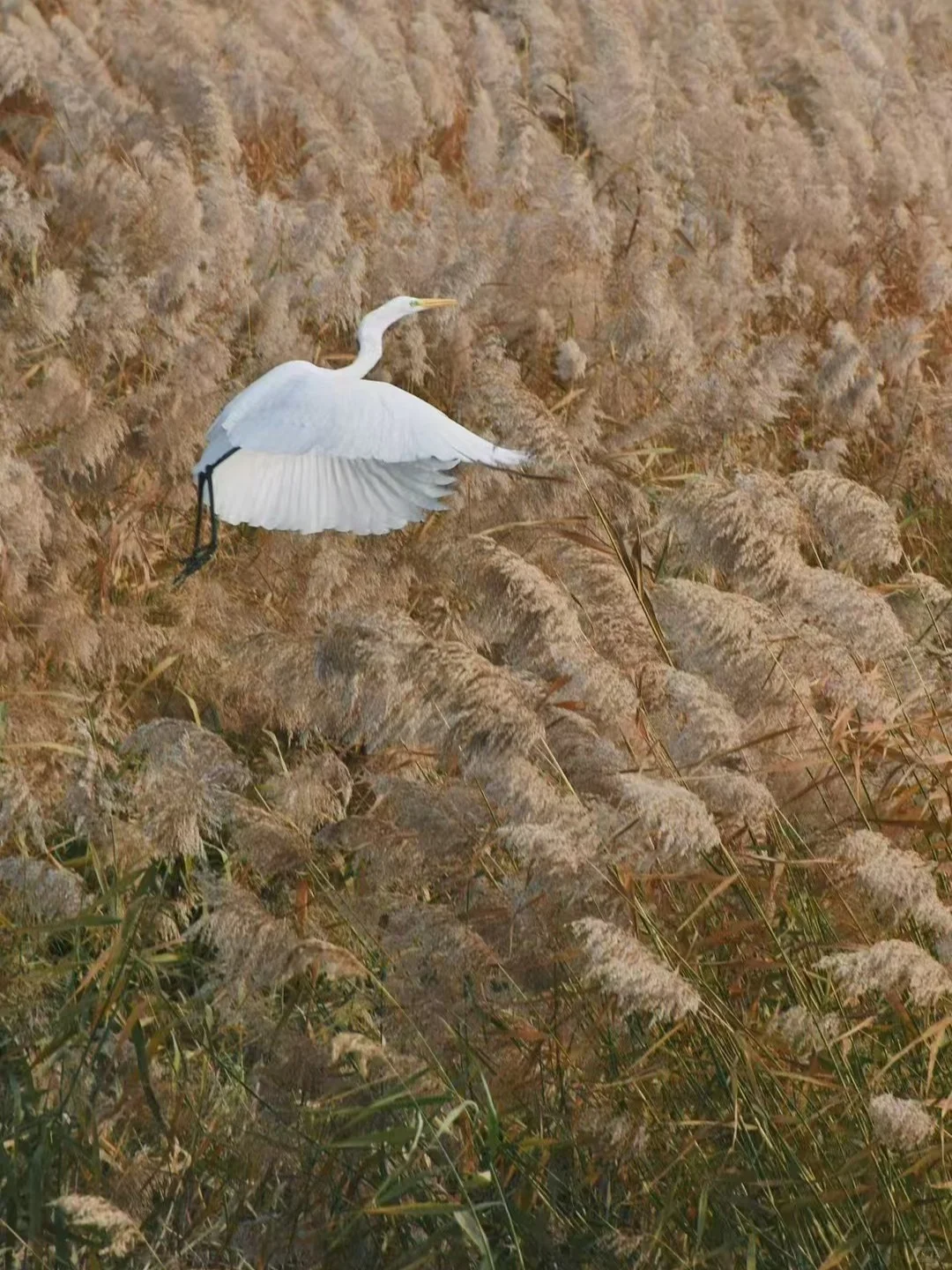 充电时间到！太原这些公园能量超高