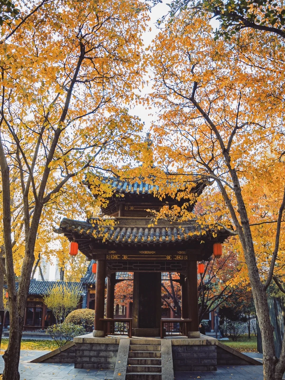 充电时间到！太原这些公园能量超高