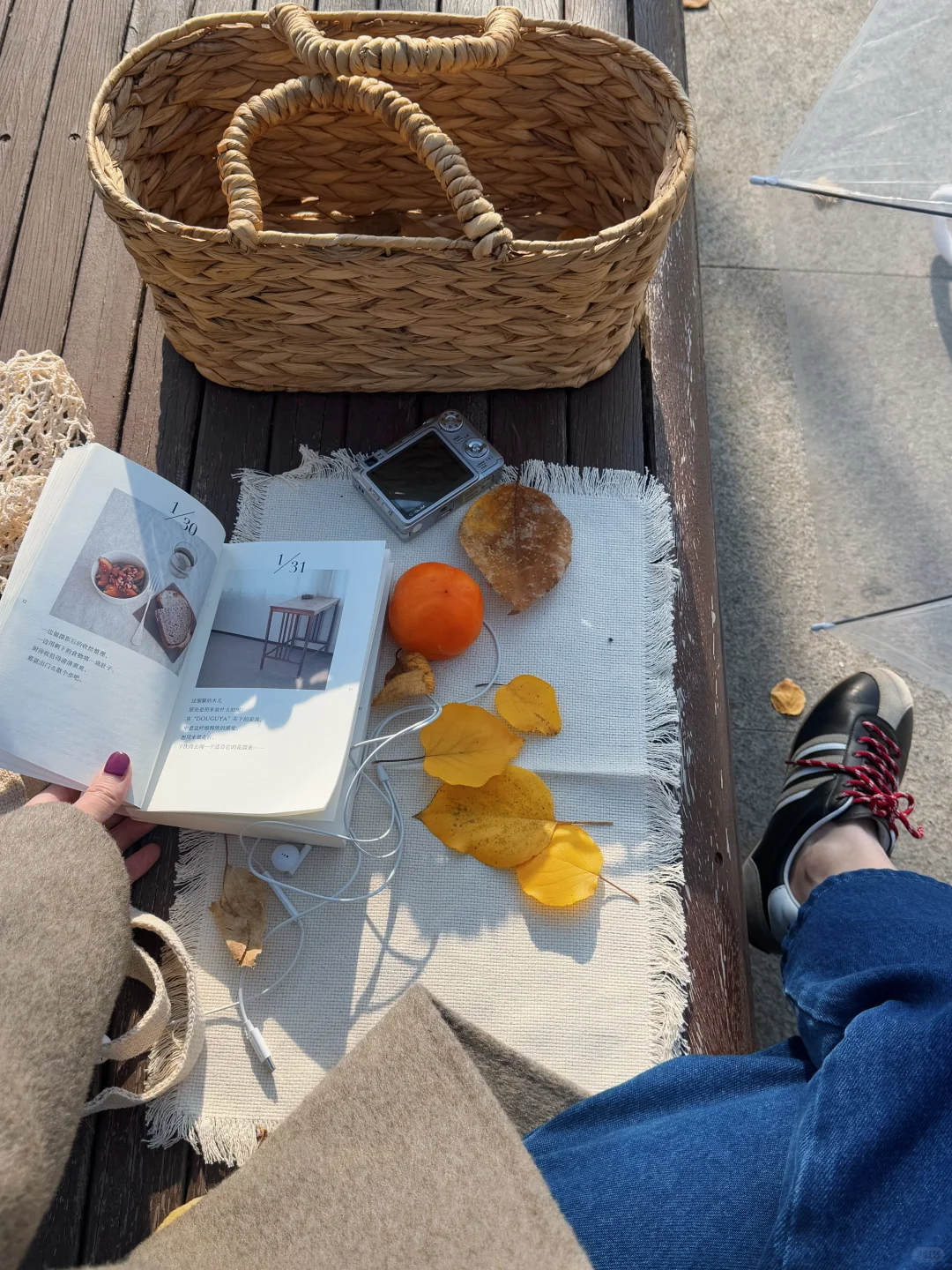 这应该是我去过太原最舒服的免费公园🍂……