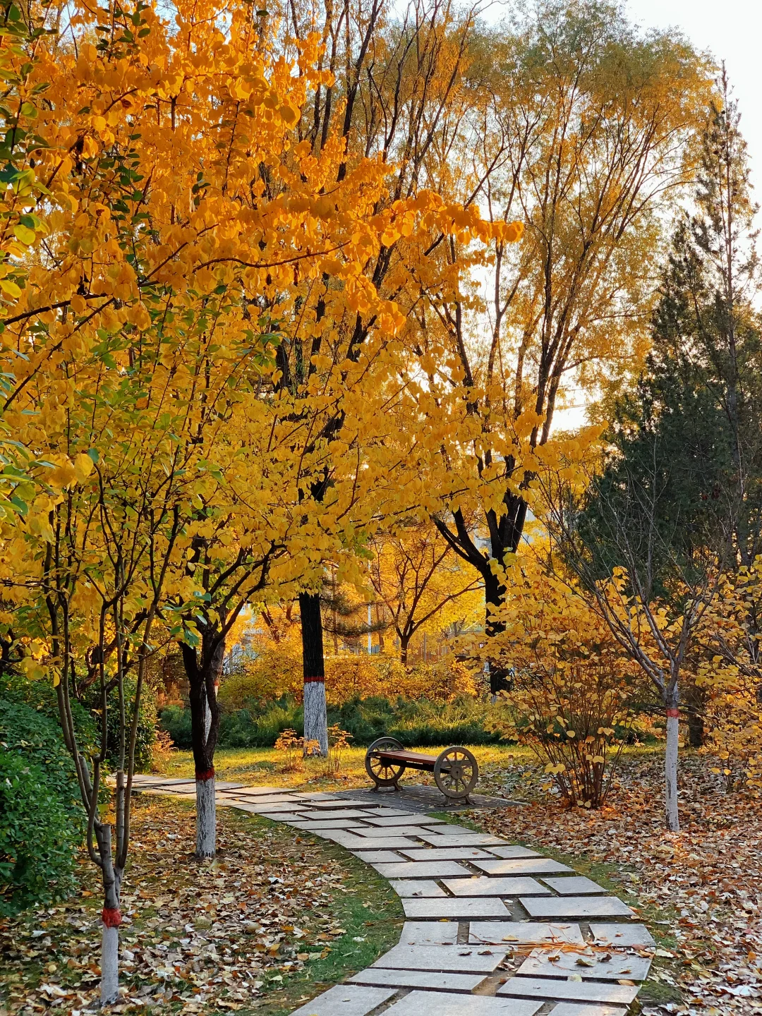挖到太原秋景新坐标!!!!!!还有谁不知道!!!!
