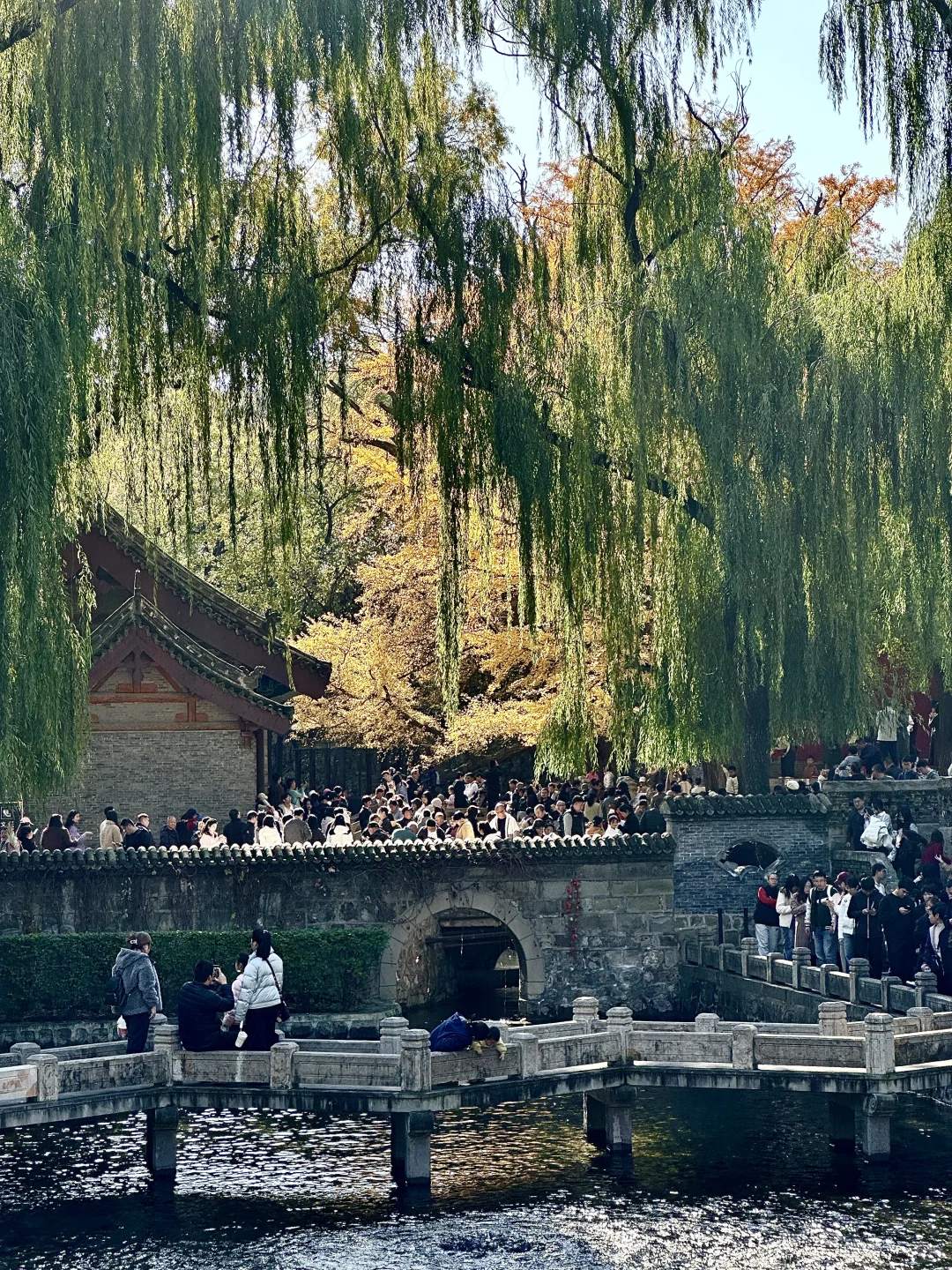 为了看晋祠五百年的银杏 来一次太原！