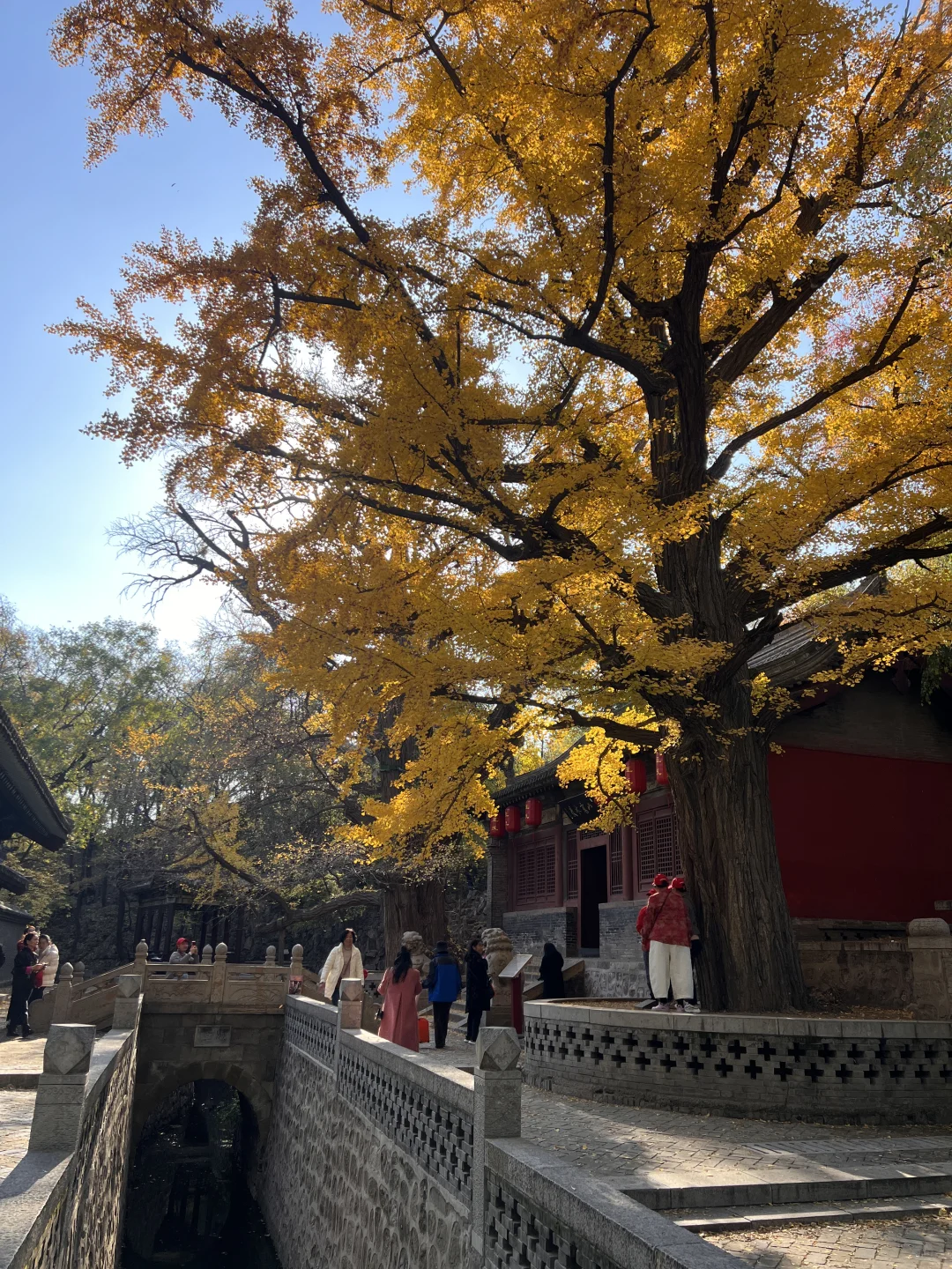 差点冻死在太原