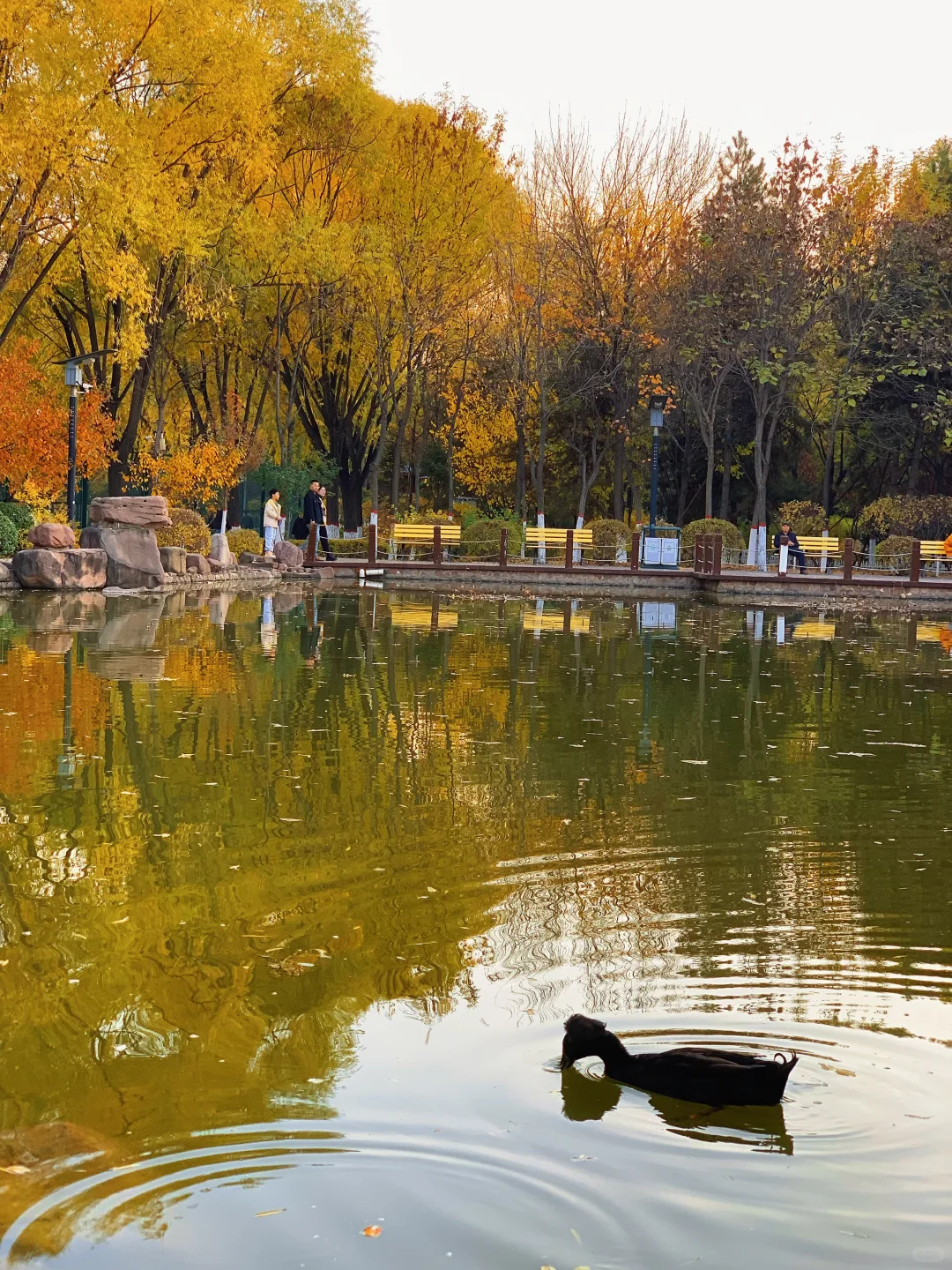 挖到太原秋景新坐标!!!!!!还有谁不知道!!!!