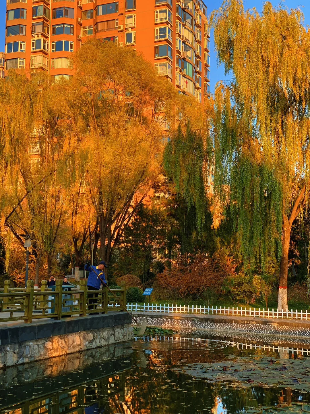 挖到太原秋景新坐标!!!!!!还有谁不知道!!!!