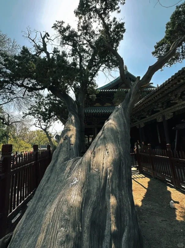 你以为的太原和实际上的太原