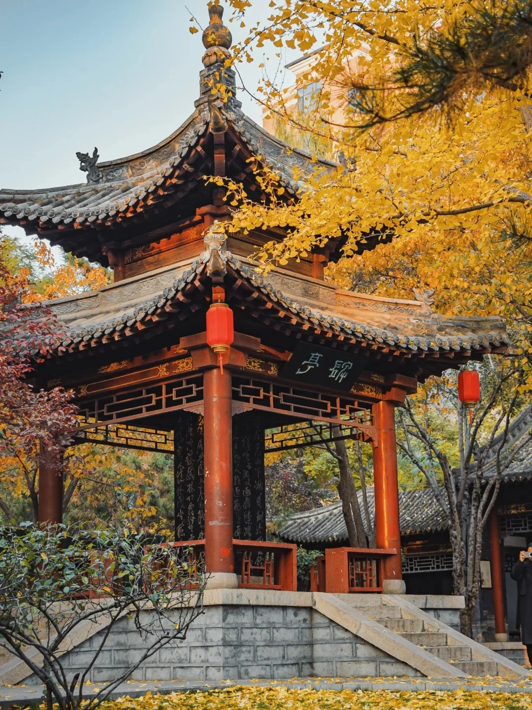 充电时间到！太原这些公园能量超高