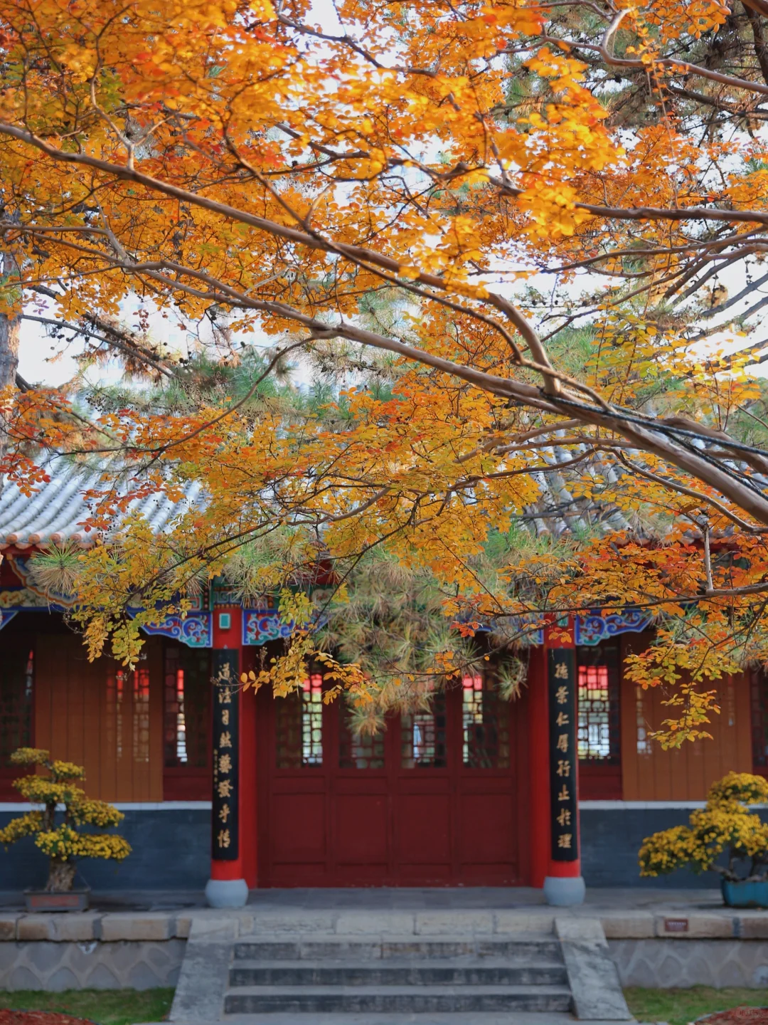 太原！真的对你祛魅‌不了一点…（附三日游攻略