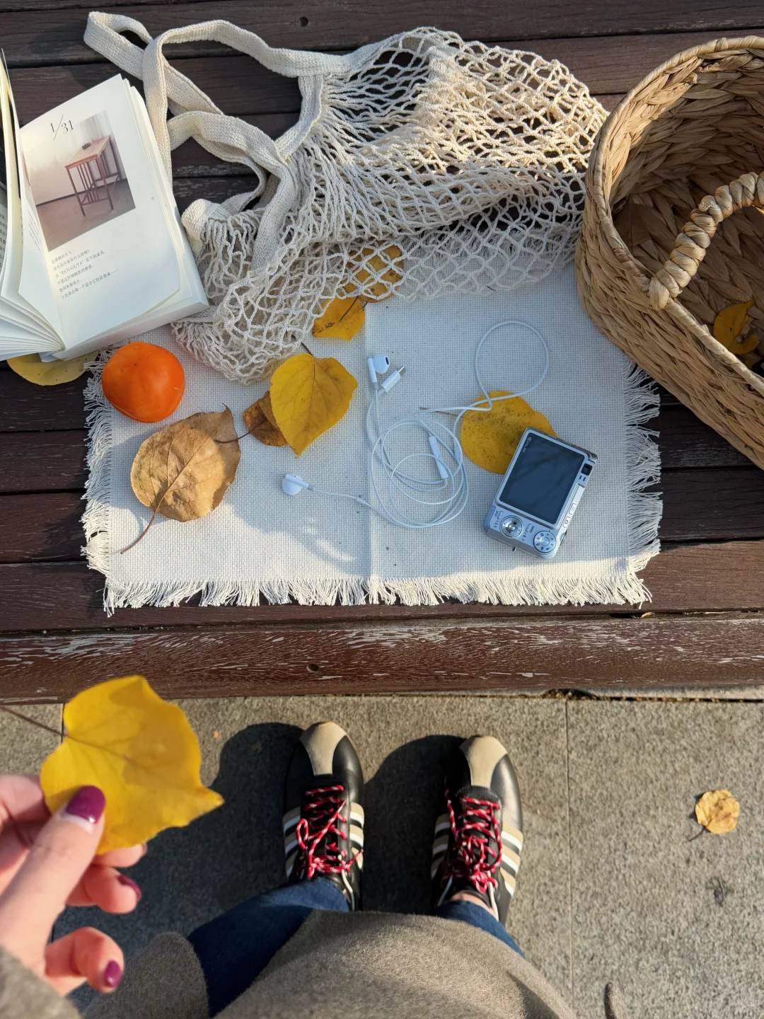 这应该是我去过太原最舒服的免费公园🍂……