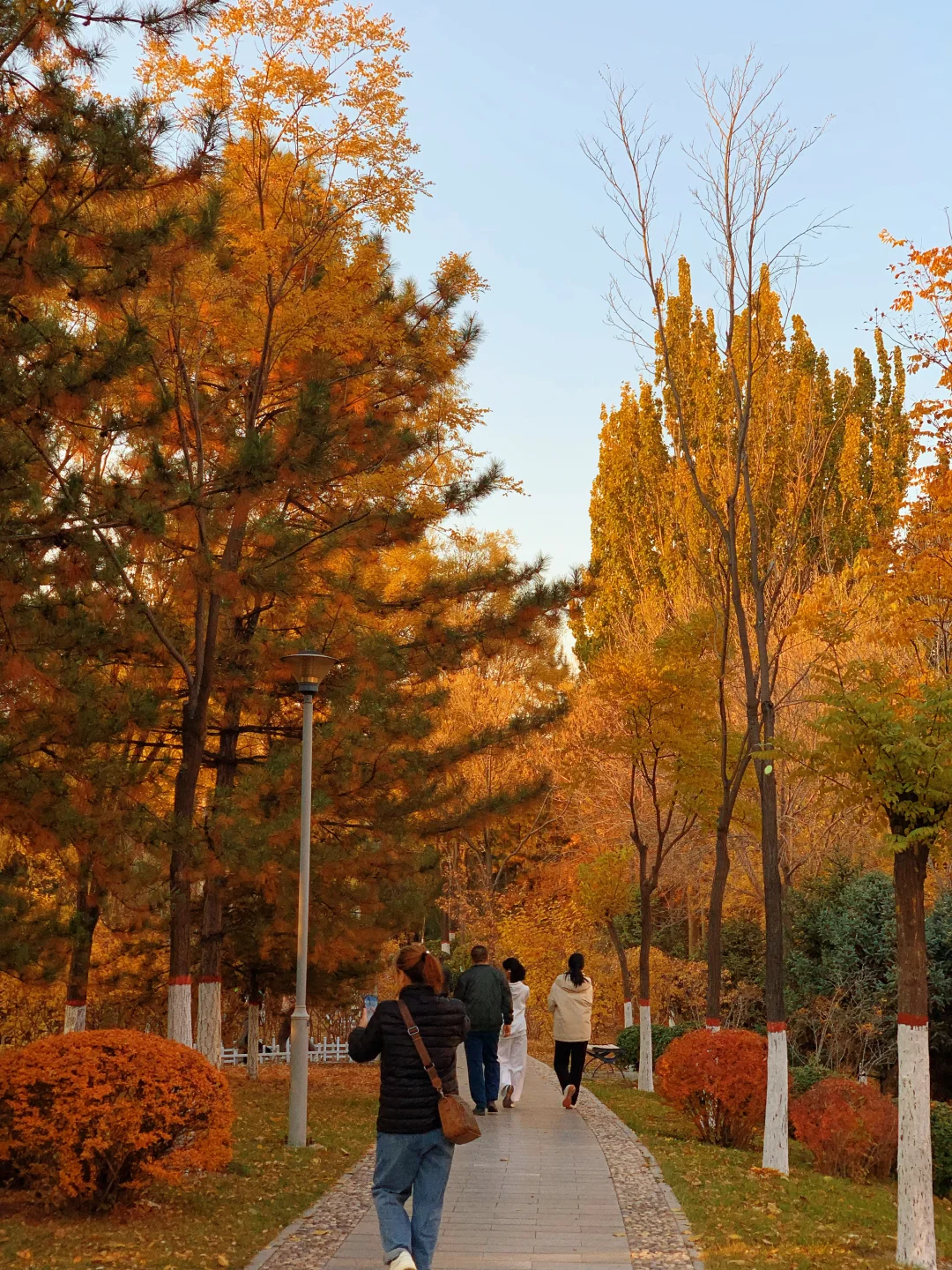 挖到太原秋景新坐标!!!!!!还有谁不知道!!!!