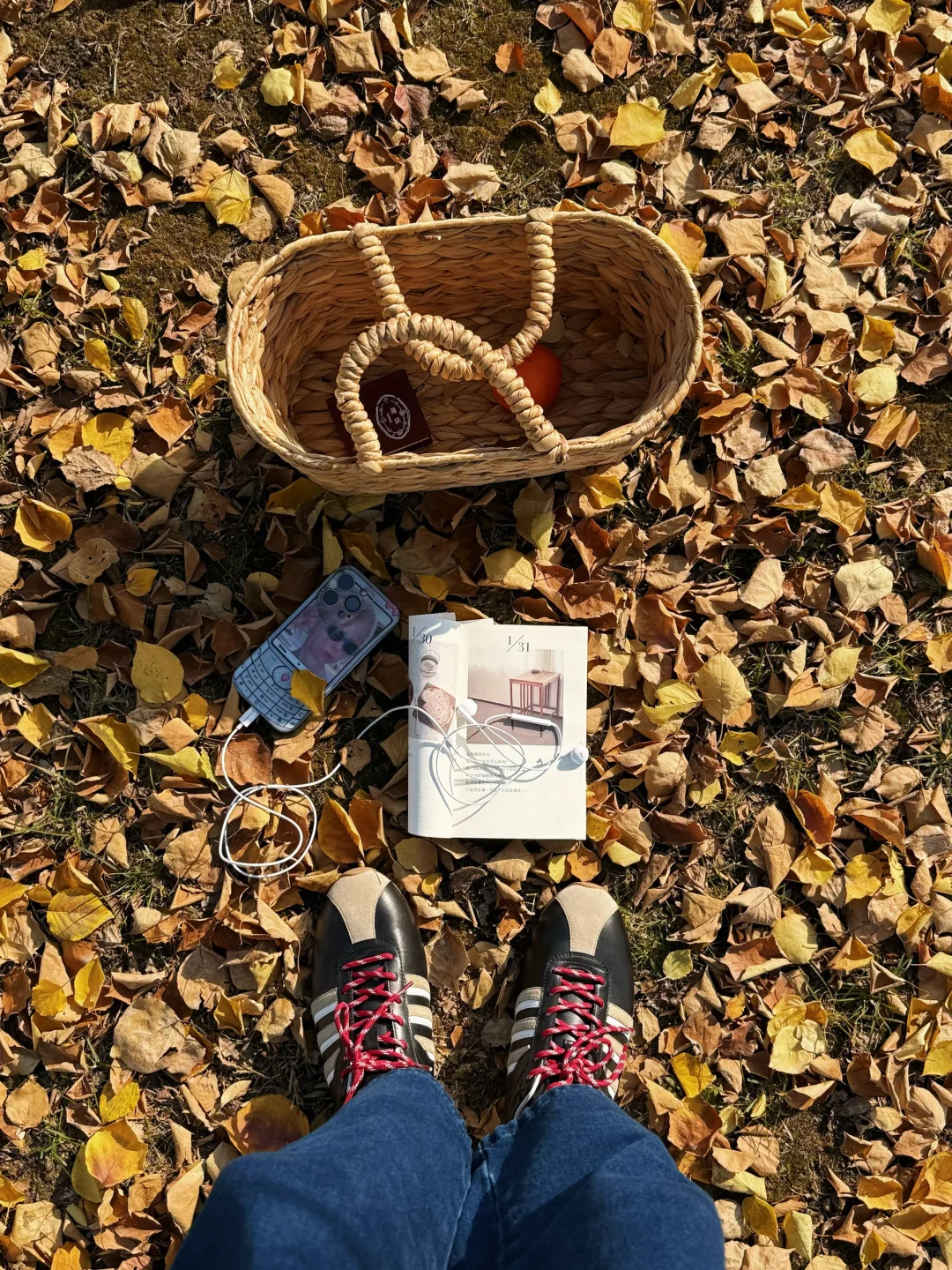 这应该是我去过太原最舒服的免费公园🍂……