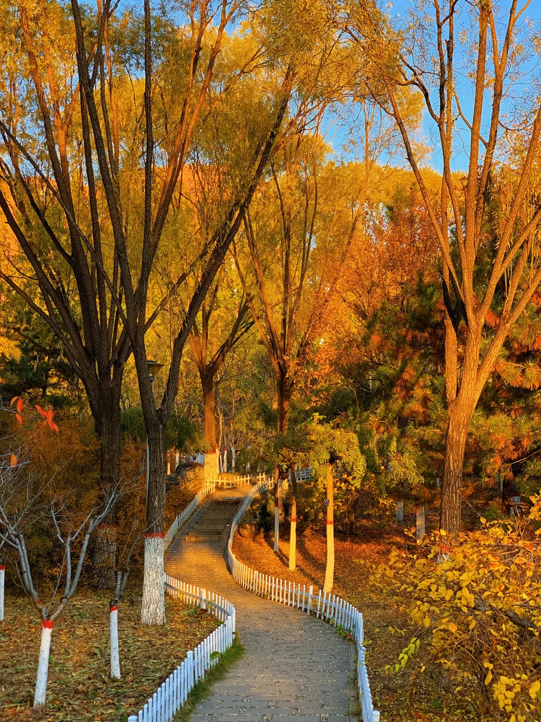 挖到太原秋景新坐标!!!!!!还有谁不知道!!!!