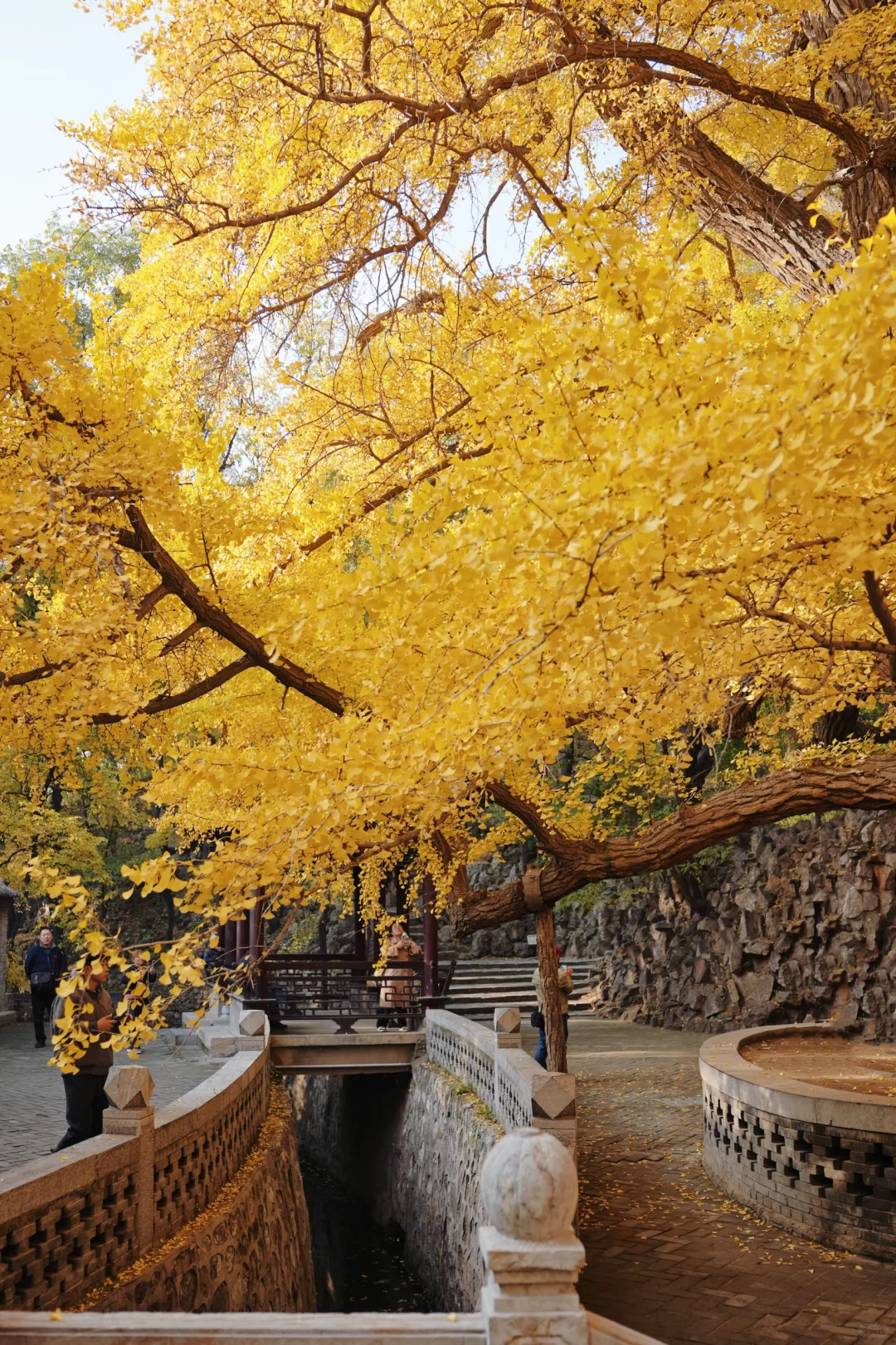 太原！真的对你祛魅‌不了一点…（附三日游攻略