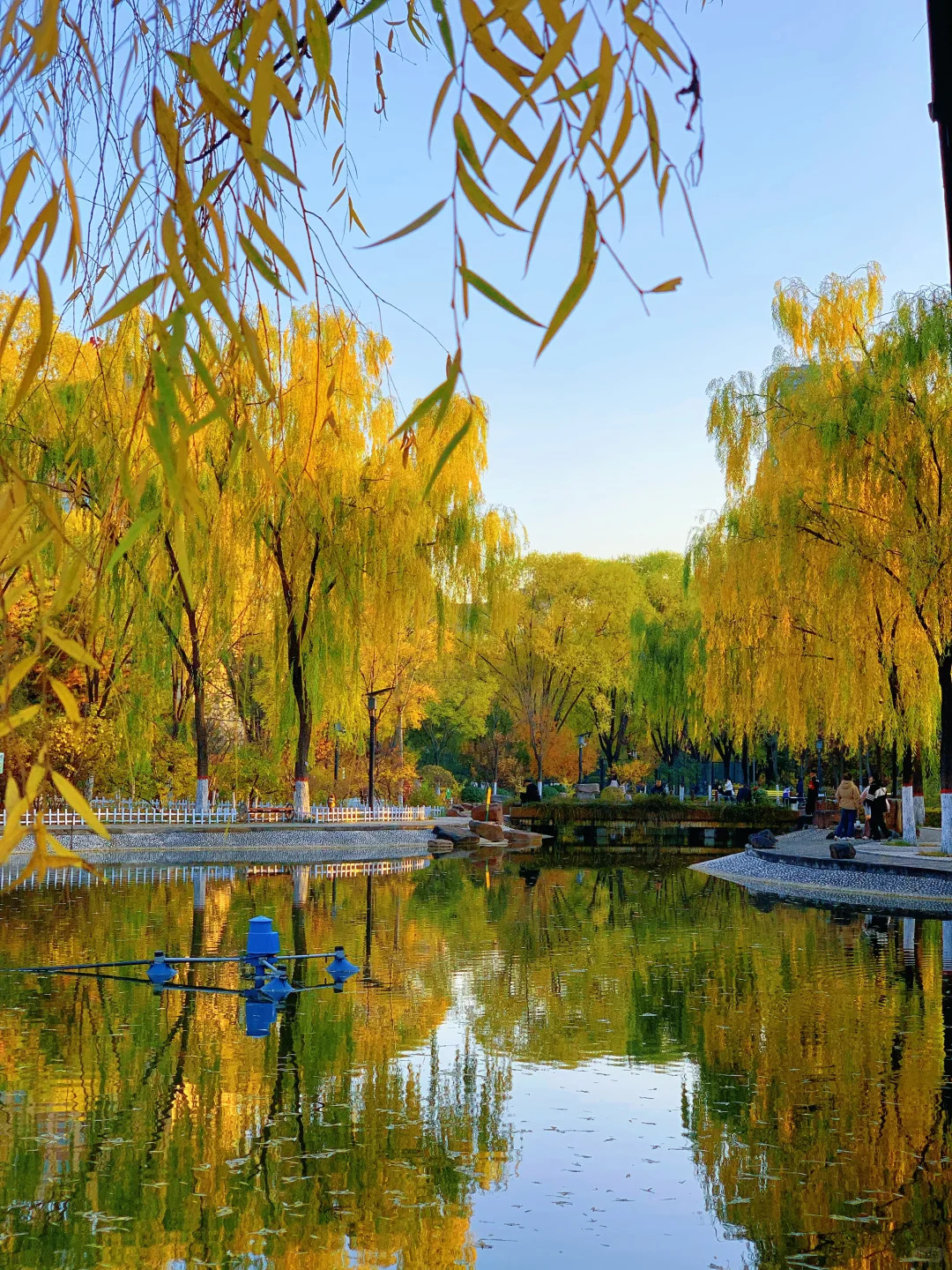 挖到太原秋景新坐标!!!!!!还有谁不知道!!!!