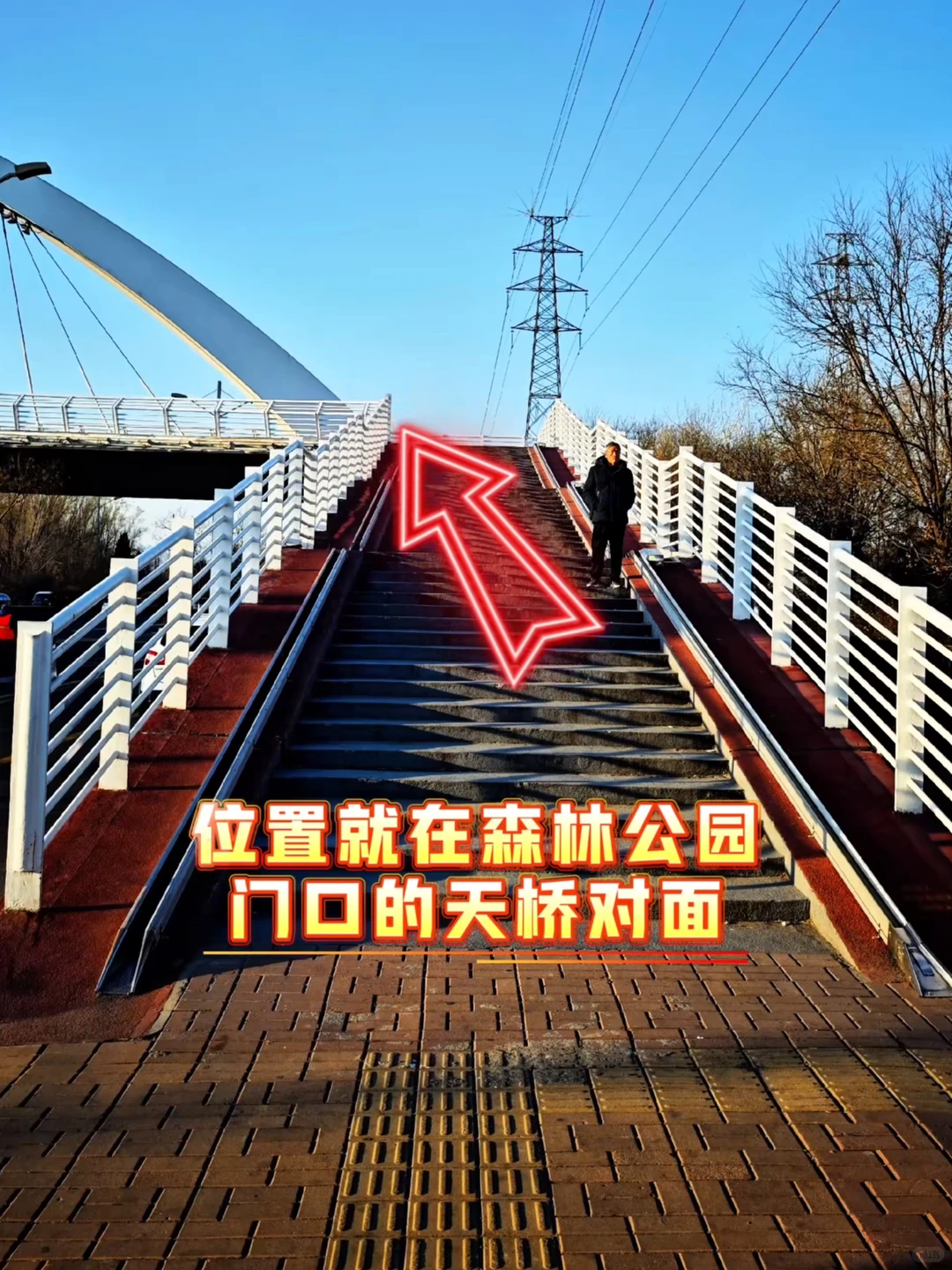 太原湿地公园有白鹭，大太原的环境越来越好