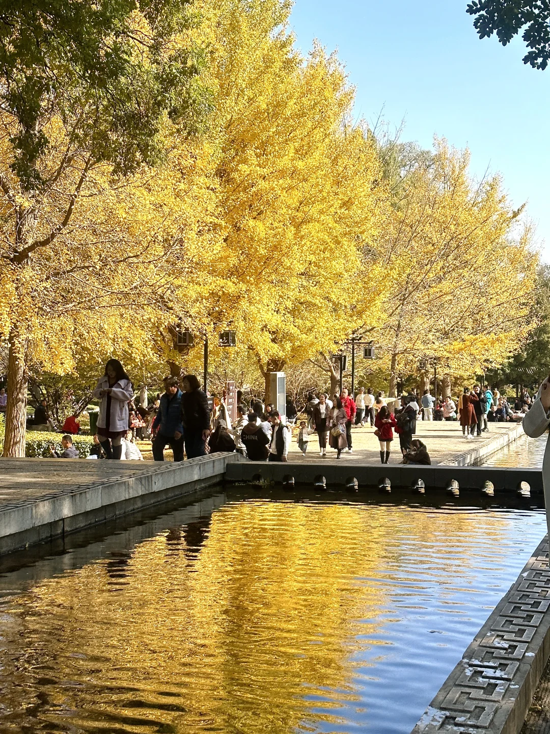 为了看晋祠五百年的银杏 来一次太原！