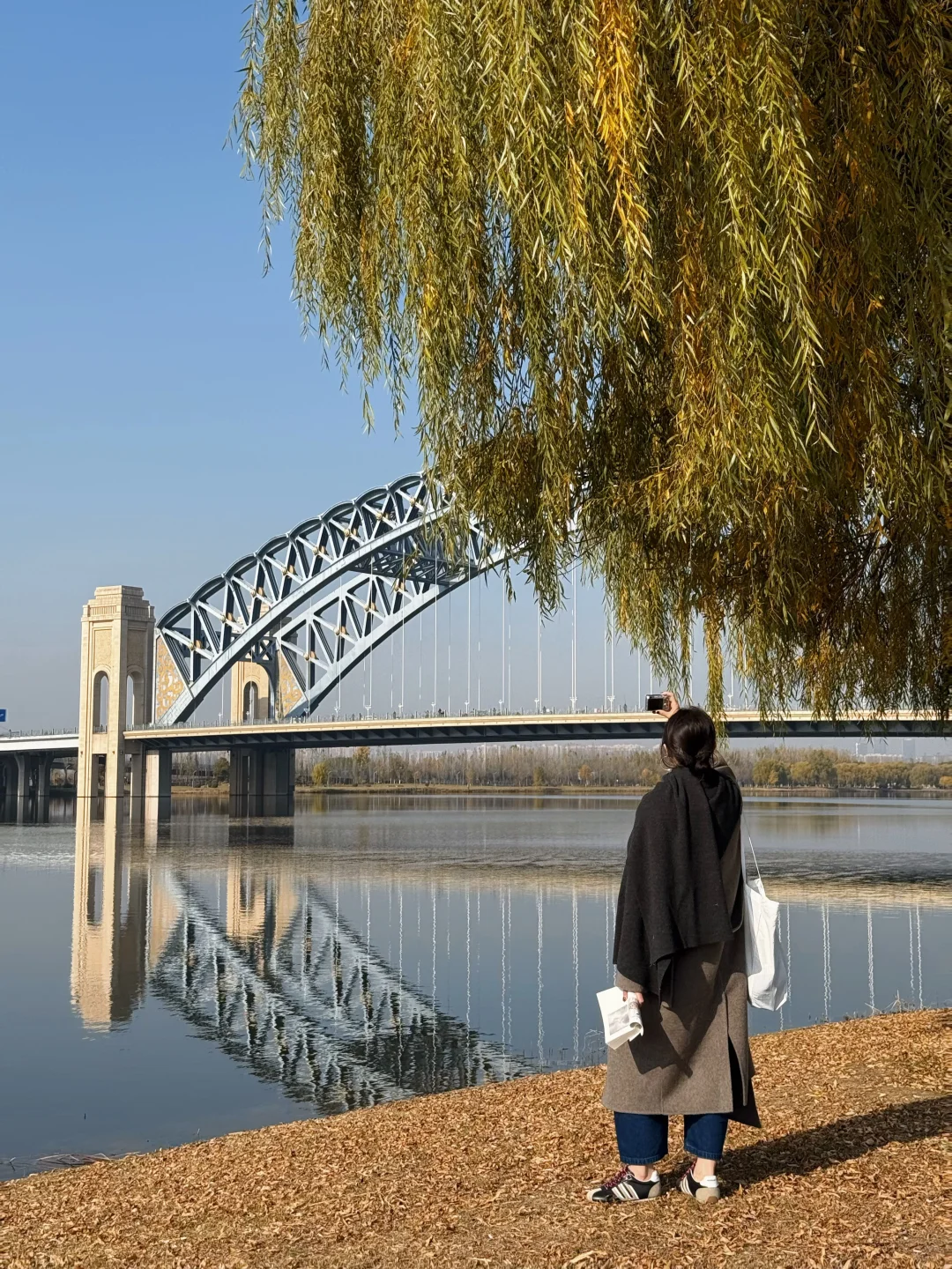 这应该是我去过太原最舒服的免费公园🍂……