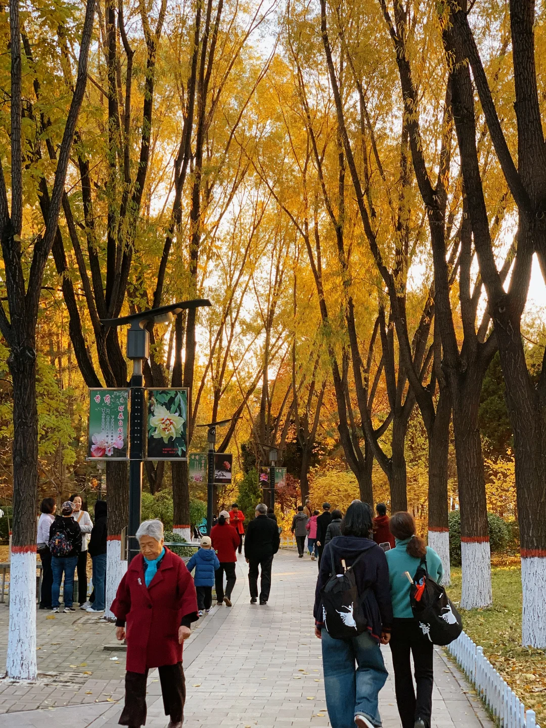 挖到太原秋景新坐标!!!!!!还有谁不知道!!!!