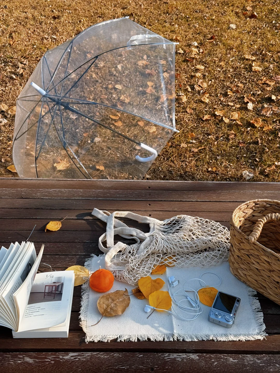 这应该是我去过太原最舒服的免费公园🍂……