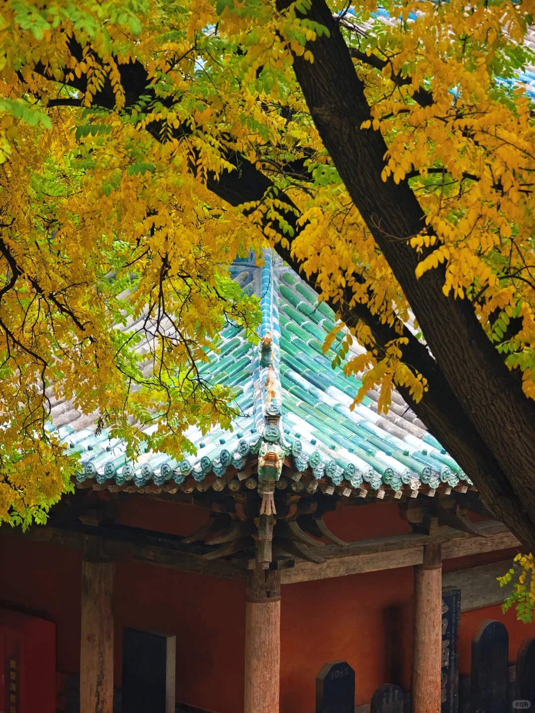 充电时间到！太原这些公园能量超高