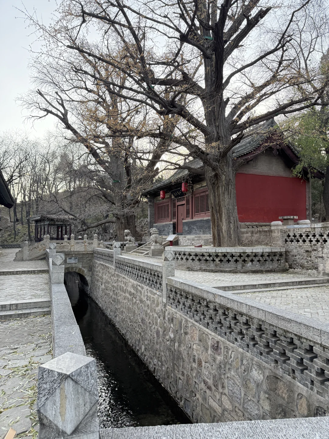 差点冻死在太原