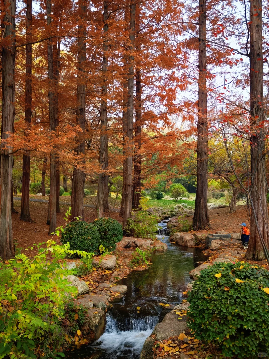 充电时间到！太原这些公园能量超高