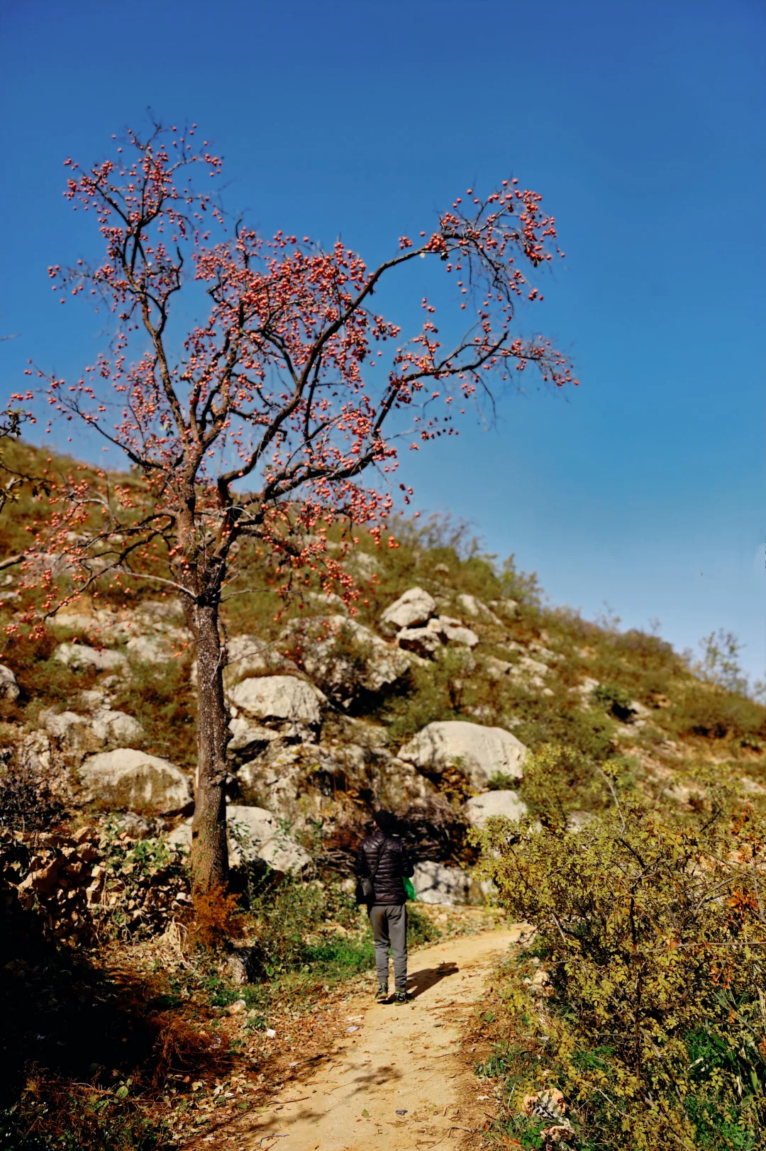 走进长治黎城县后峧村