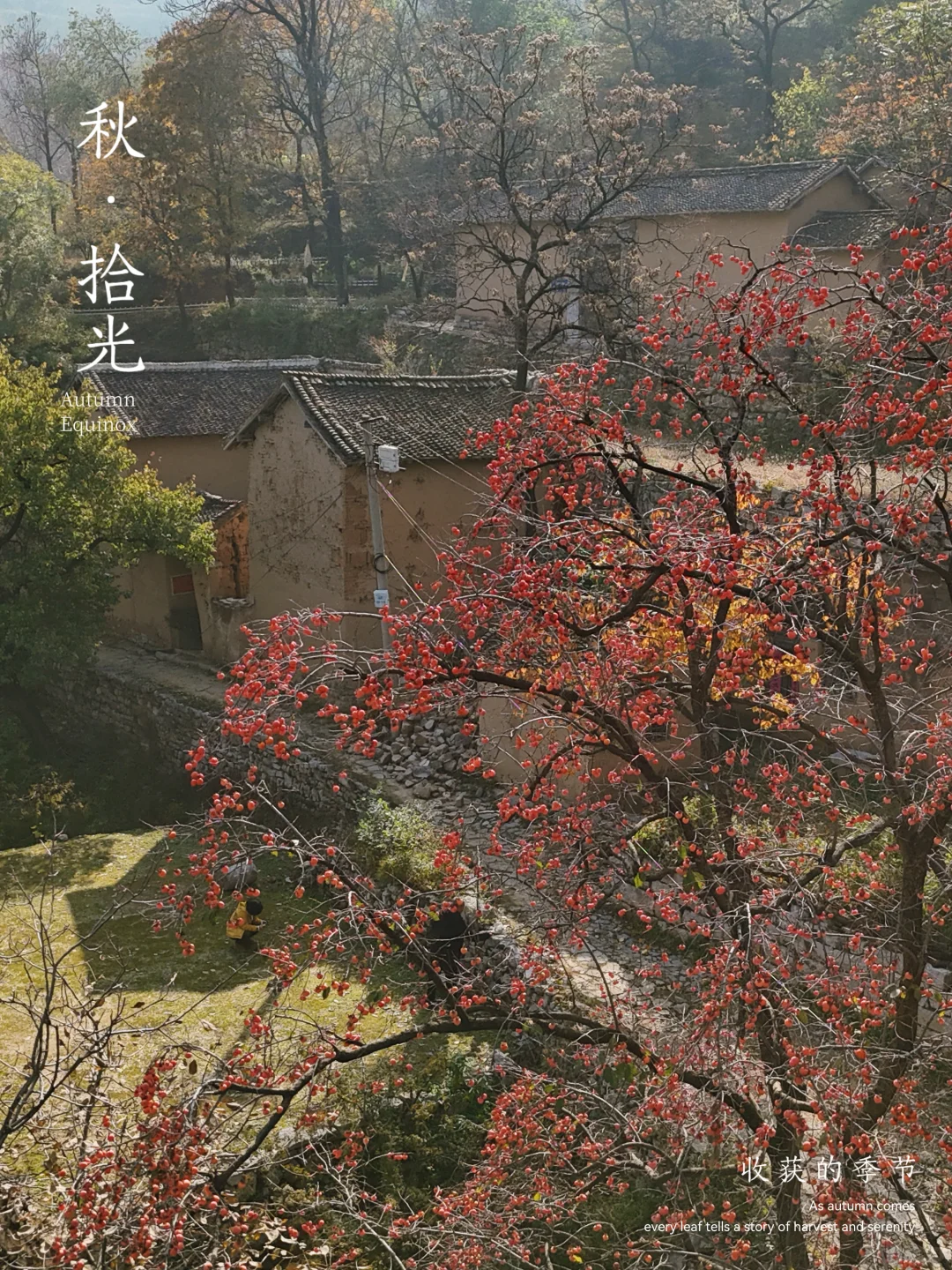 走进长治黎城县后峧村