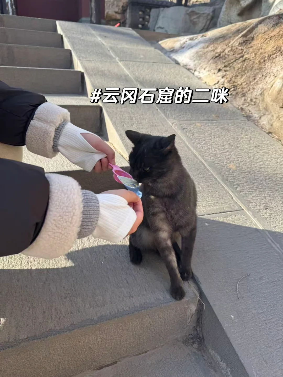 大同云冈石窟半日游