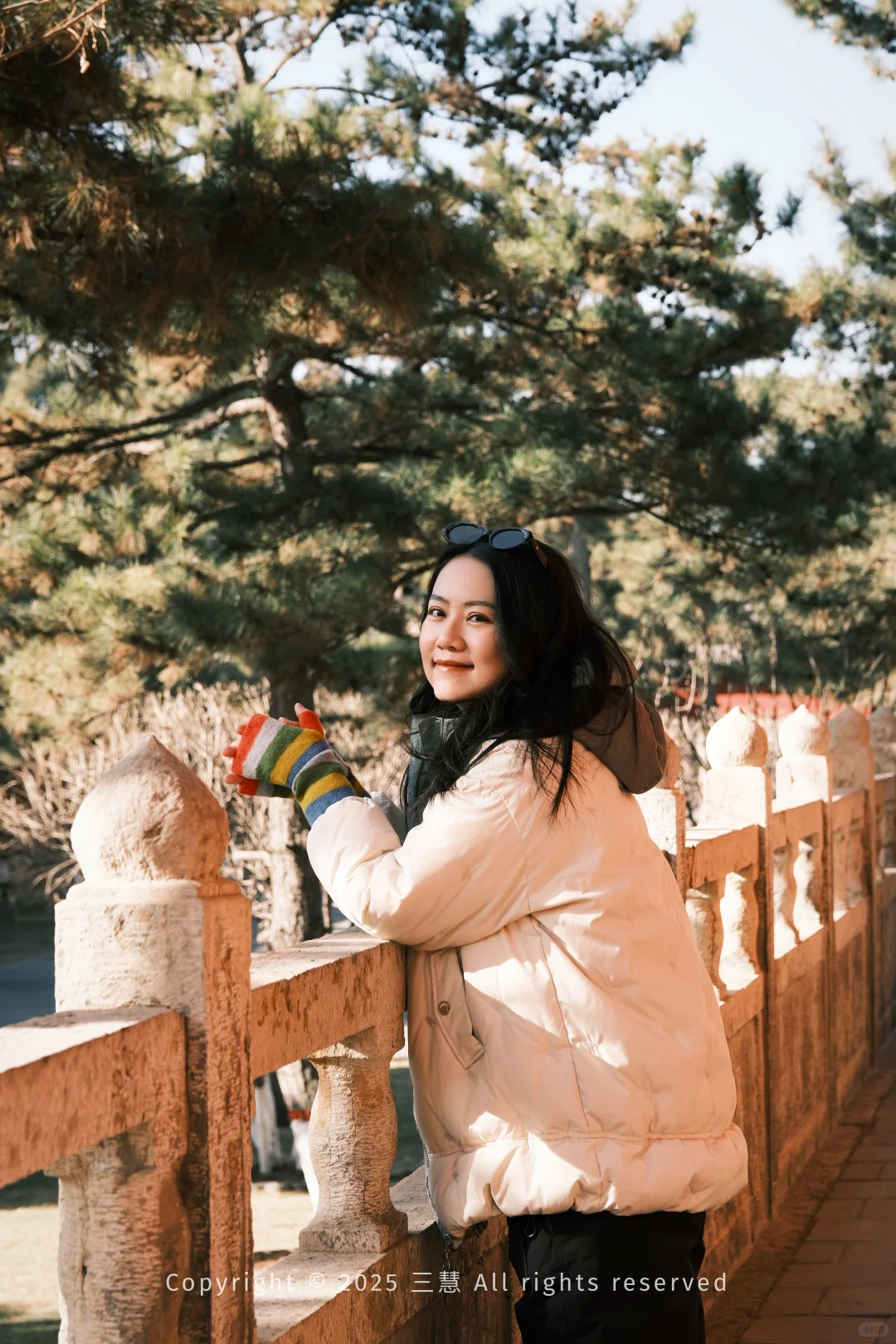 大同富士女摄｜北方冬日枯树 中式美学氛围感