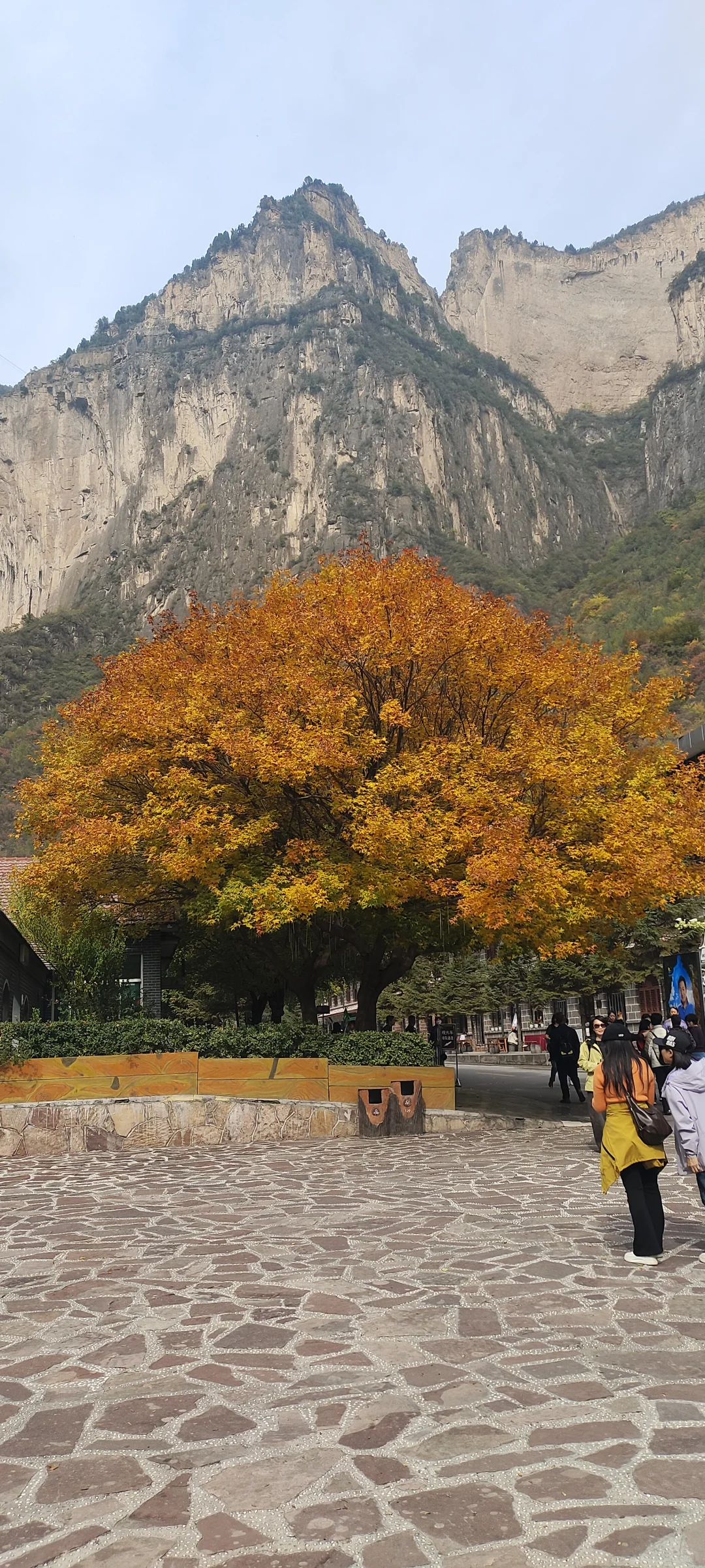 山西长治八泉峡免门票了📢📢📢