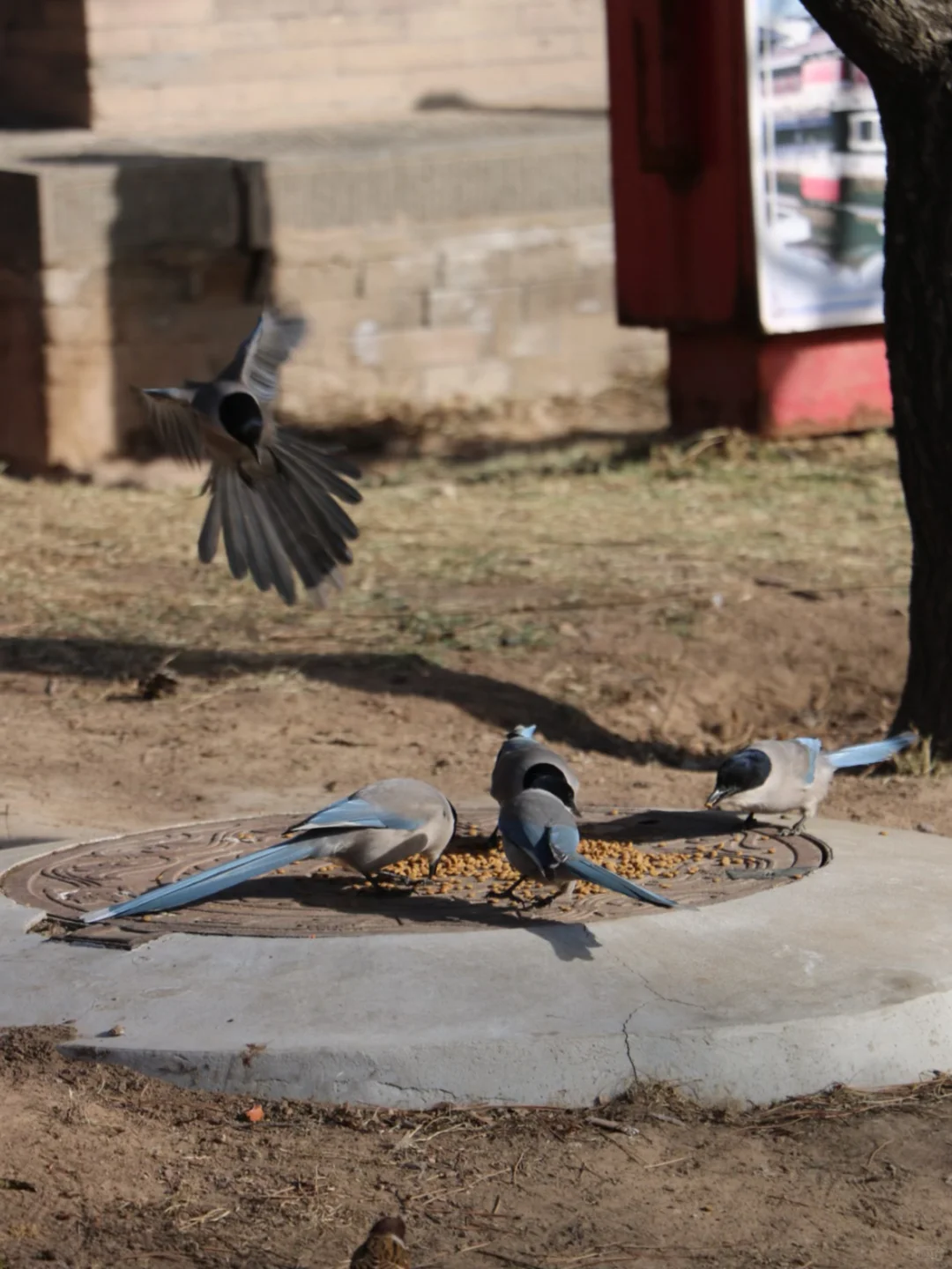 淡季的大同体验感太赞了
